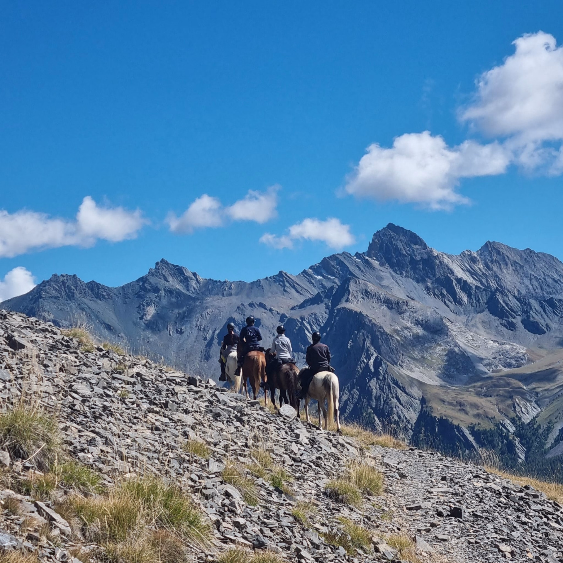 Trek des lacs et panoramas du Viso en Queyras
