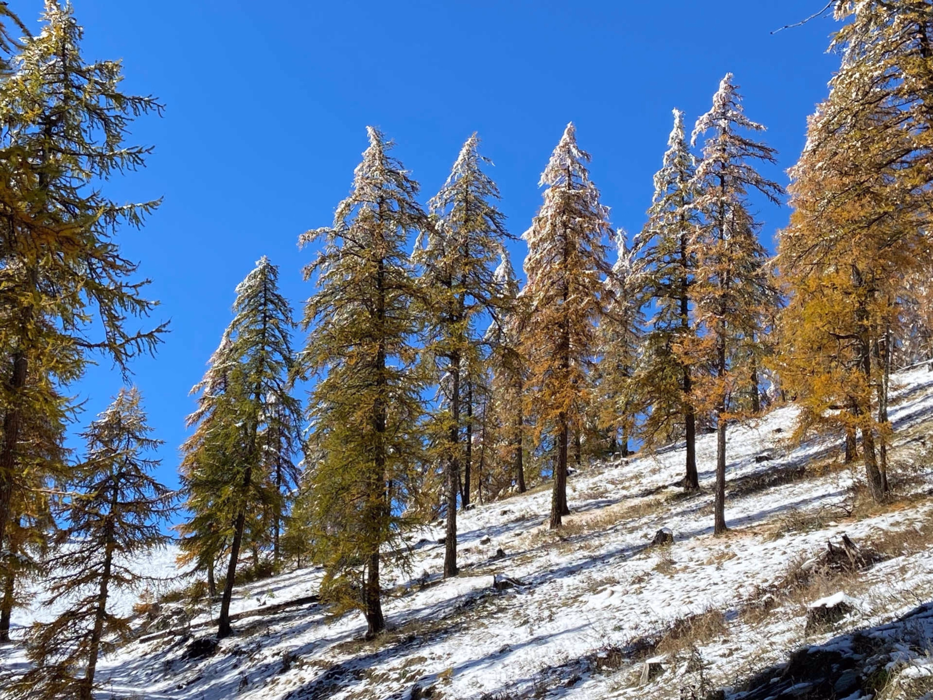 Randonnée au cœur de la vallée de Cervières aux couleurs d'automne