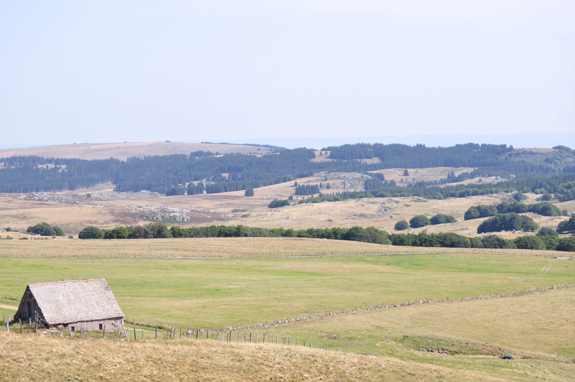 Le tour des Monts d'Aubrac en randonnée