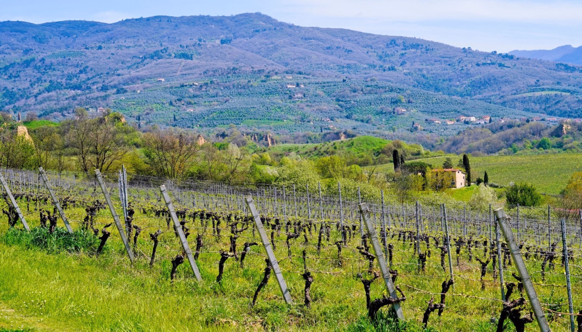 Le Chianti : la Toscane de Florence à Sienne