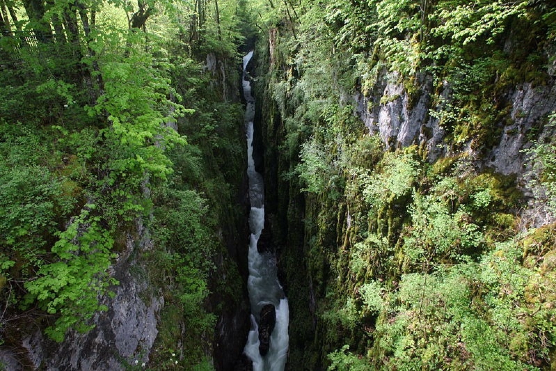 Randonnée et terroir au cœur des Montagnes du Jura