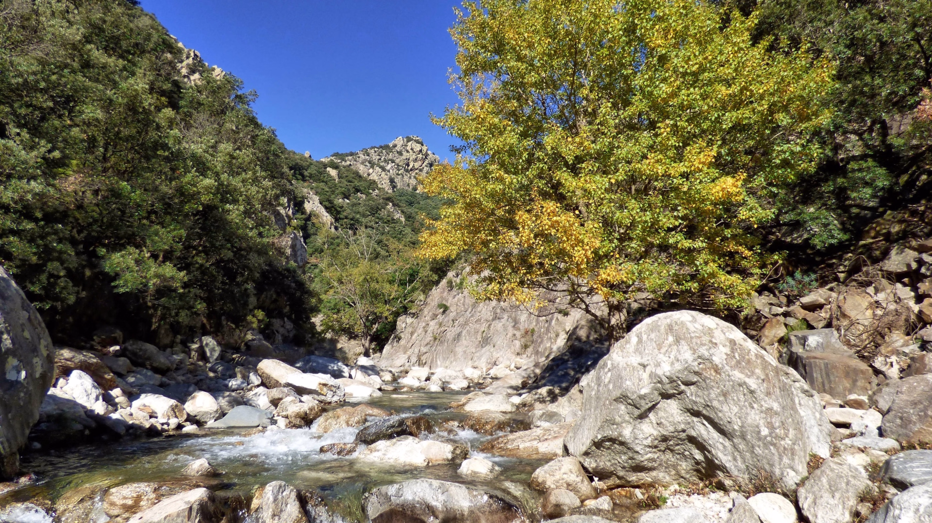 Multi-activités dans le Parc du Haut Languedoc