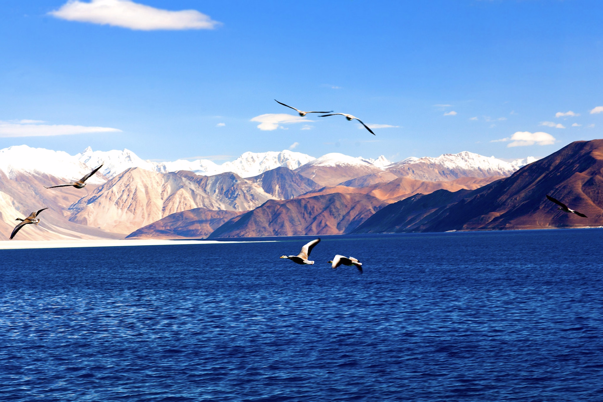 Trek sauvage au Ladakh, du Changtang au lac Tso Moriri