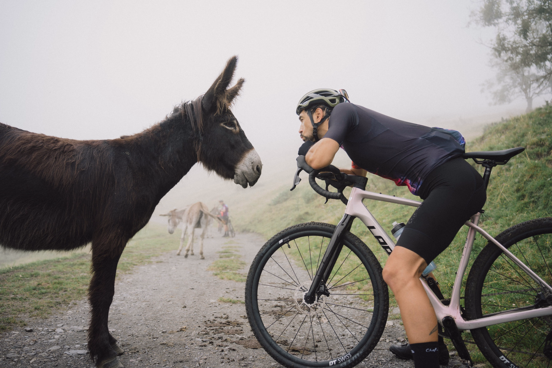 Séjour gravel en liberté au coeur du massif des Pyrénées