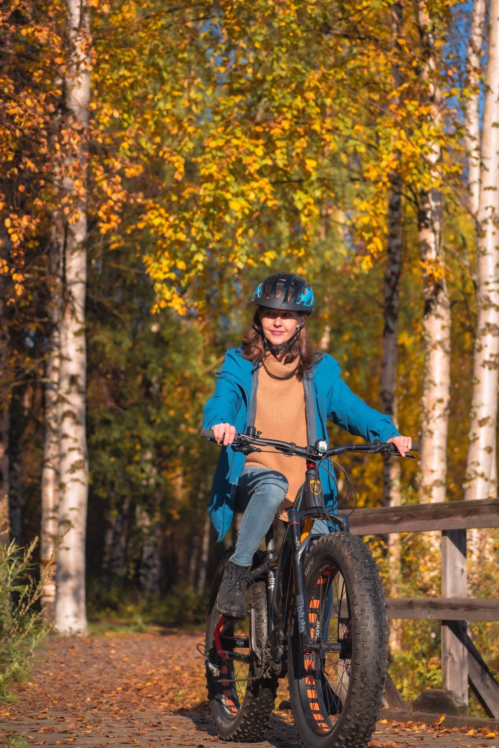 Aventure à vélo électrique à travers la Laponie : de Rovaniemi à Ylläs