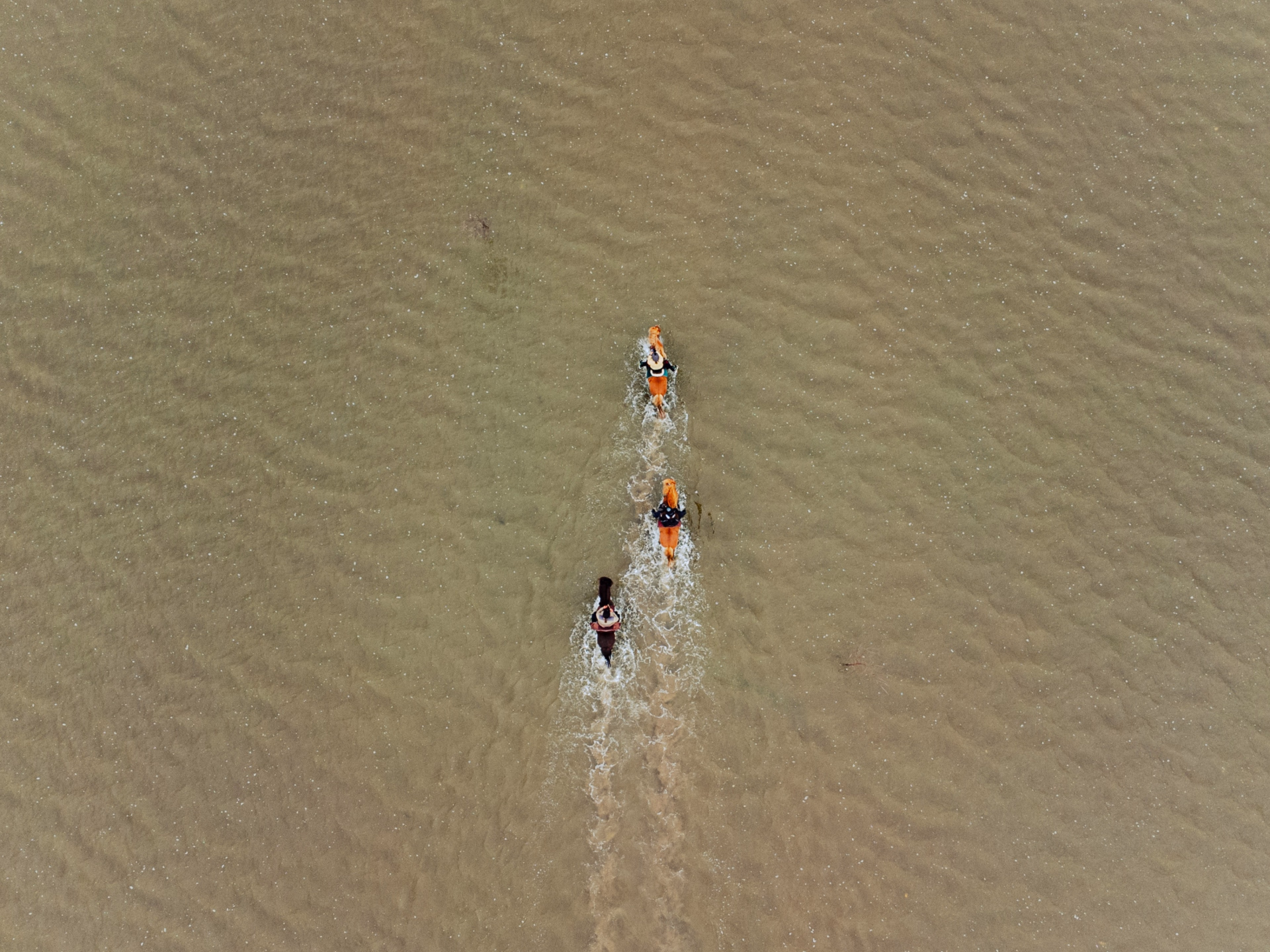 Séjour équestre sur l’île de Rømø au Danemark