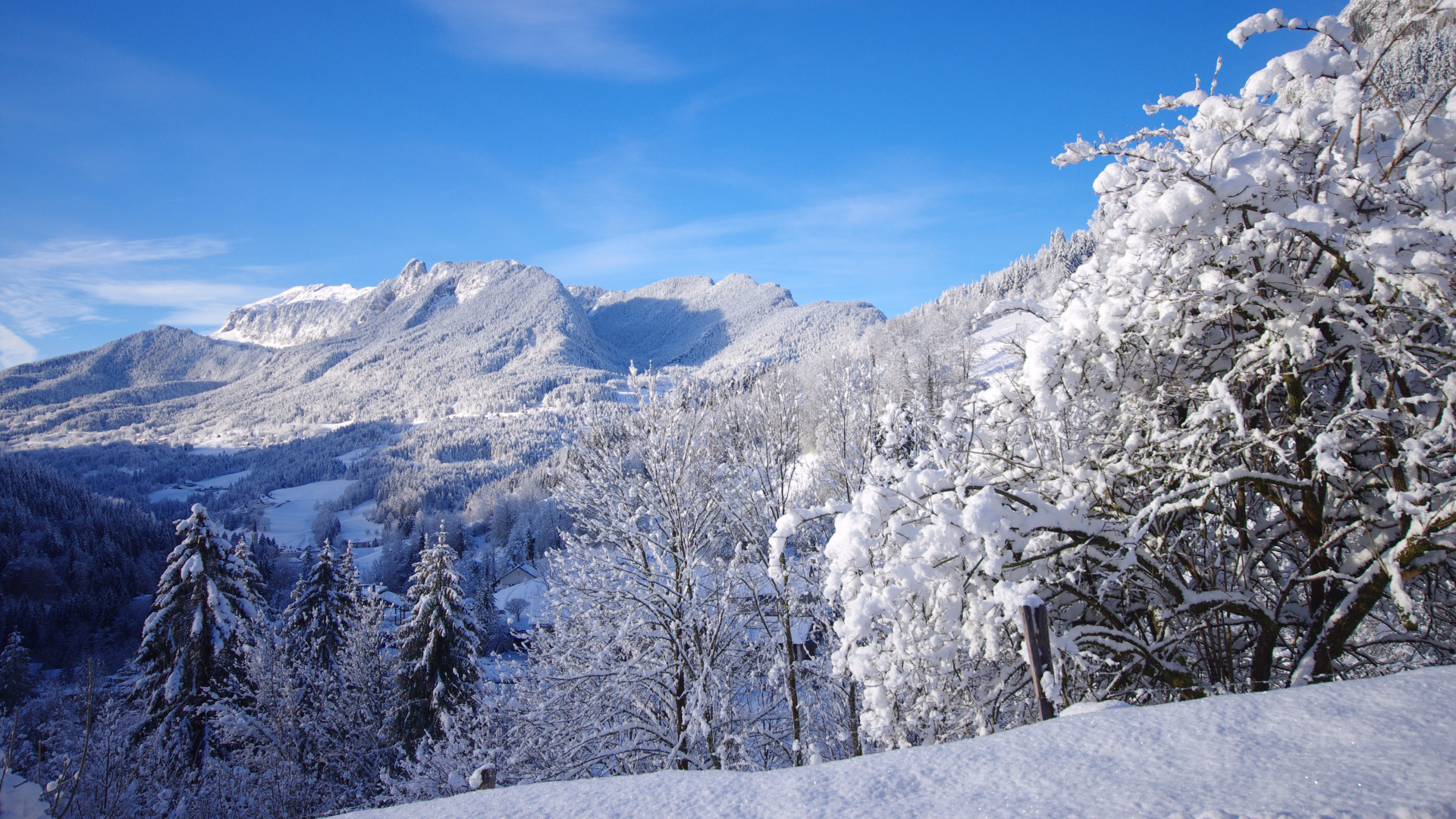 Tour de la Chartreuse en raquettes à neige de gîte en gîte