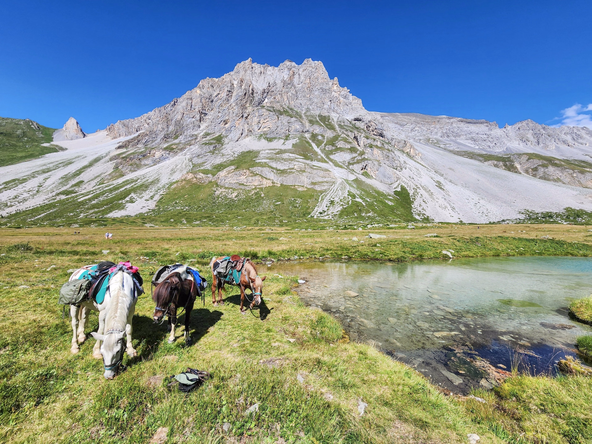 Cheval et refuge : immersion sauvage en Vanoise depuis Méribel