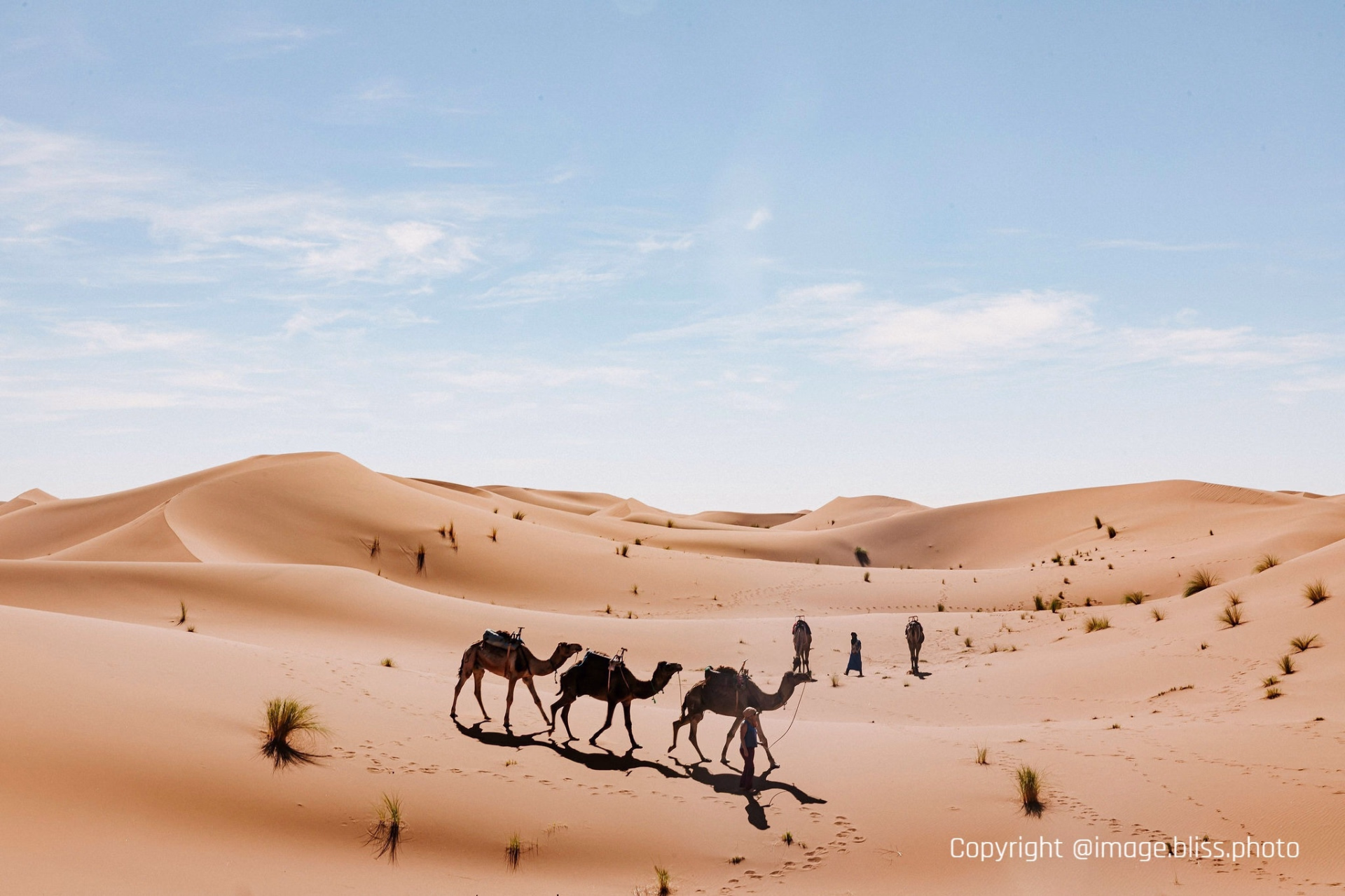 Trek et bivouac dans le désert marocain