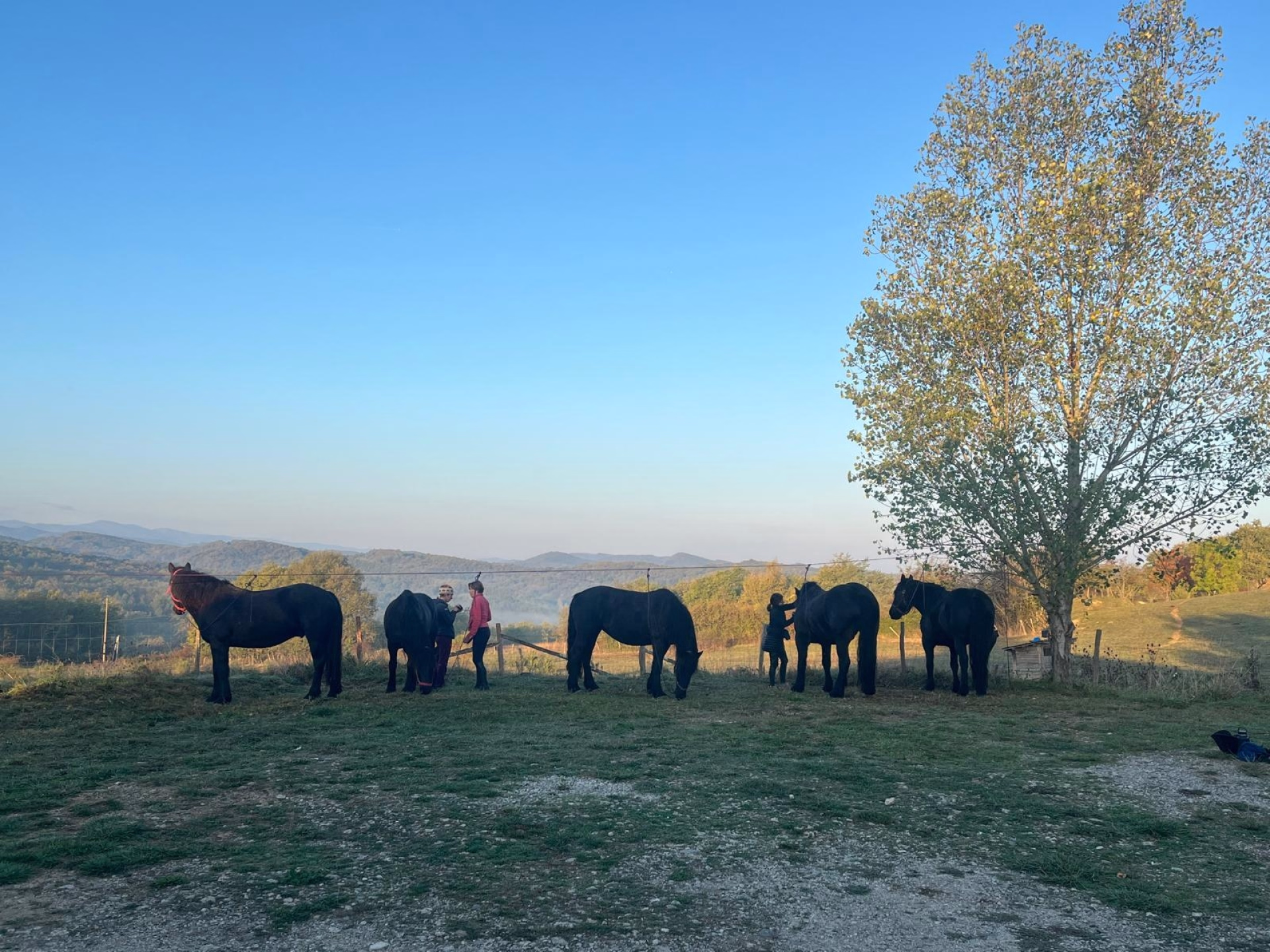 Belles demeures en Pyrénées cathares à cheval