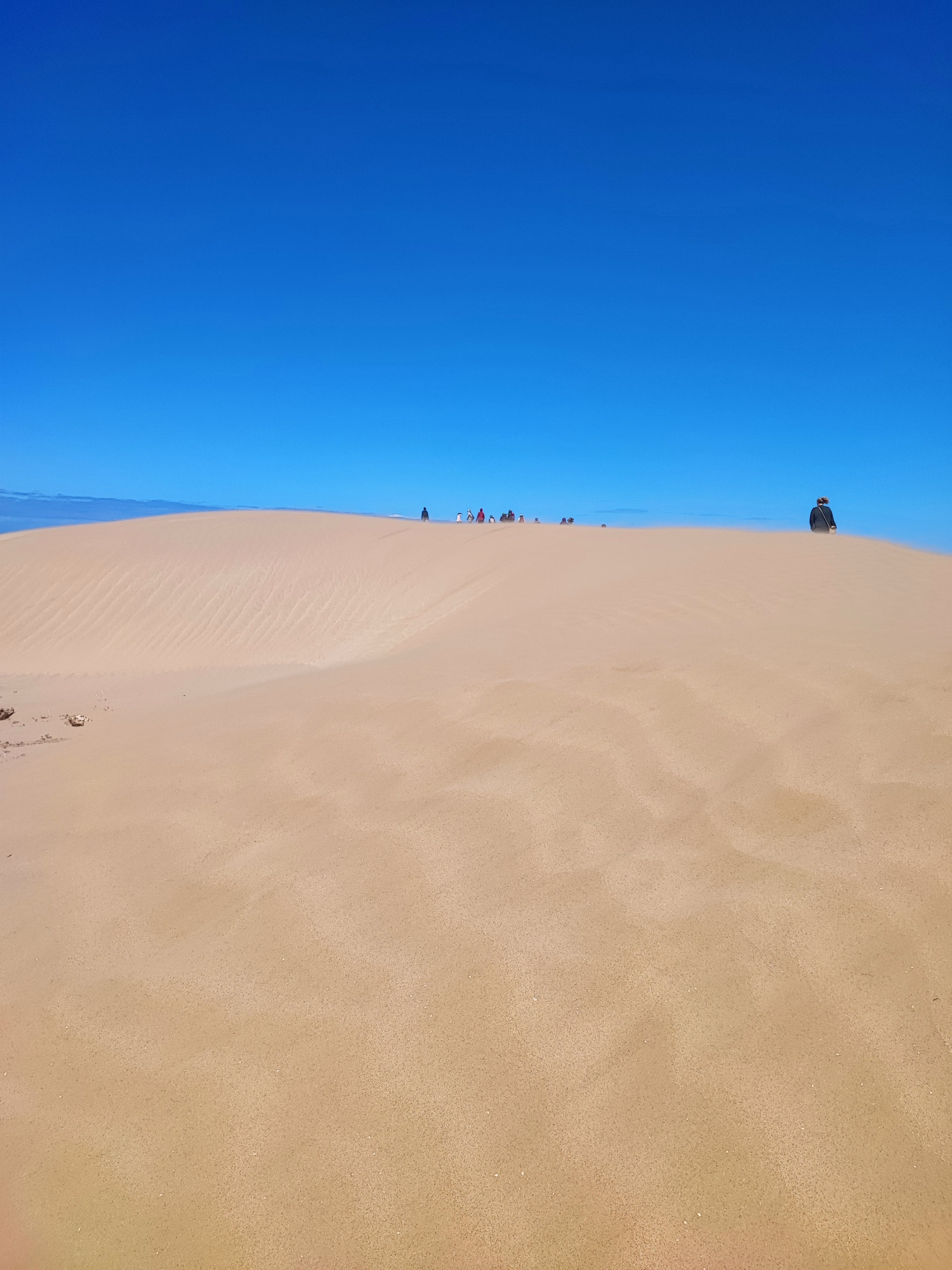 Yoga, Méditation & Bien-être à Essaouira