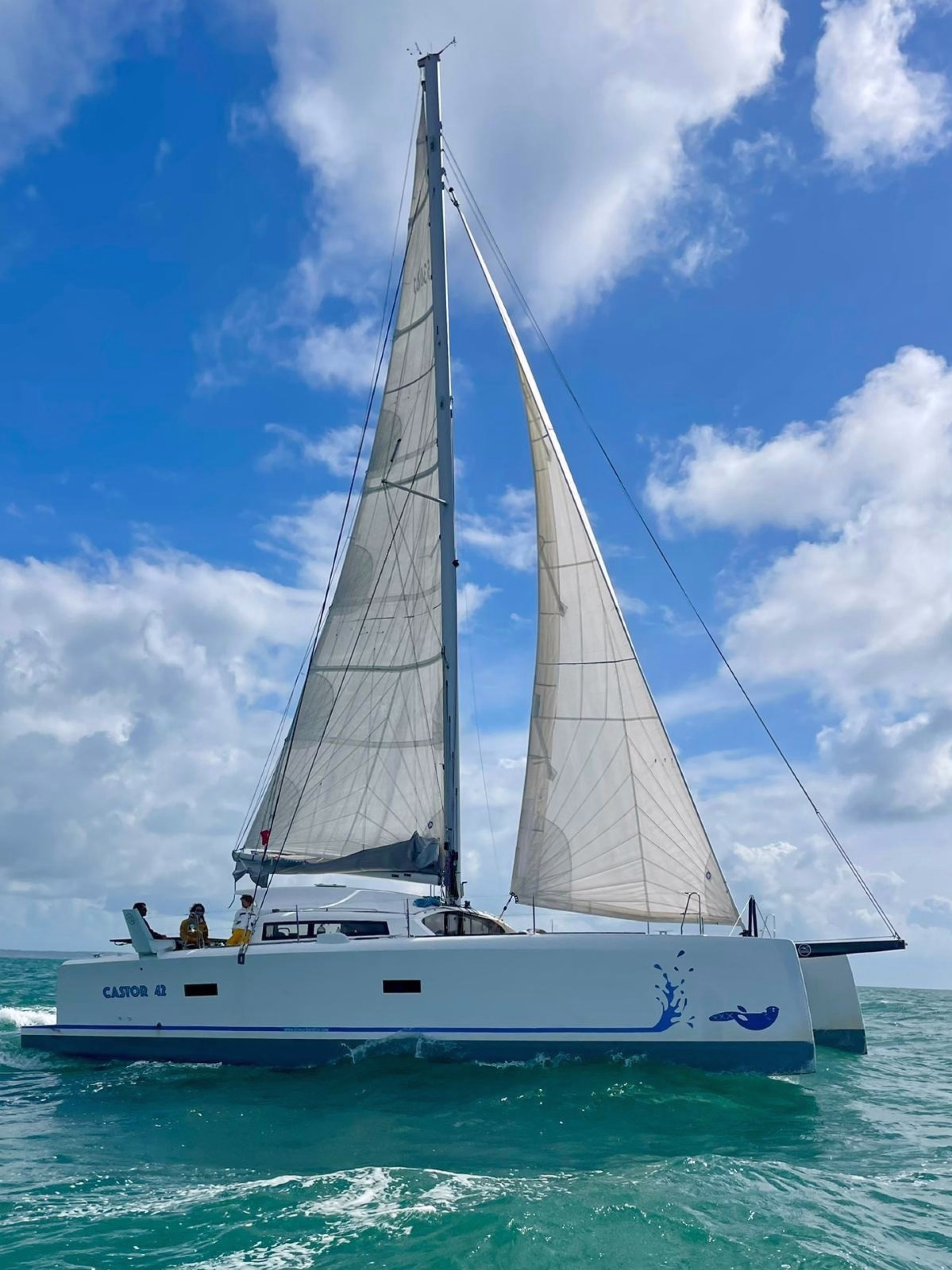 🚢 Bateau de croisière à voile