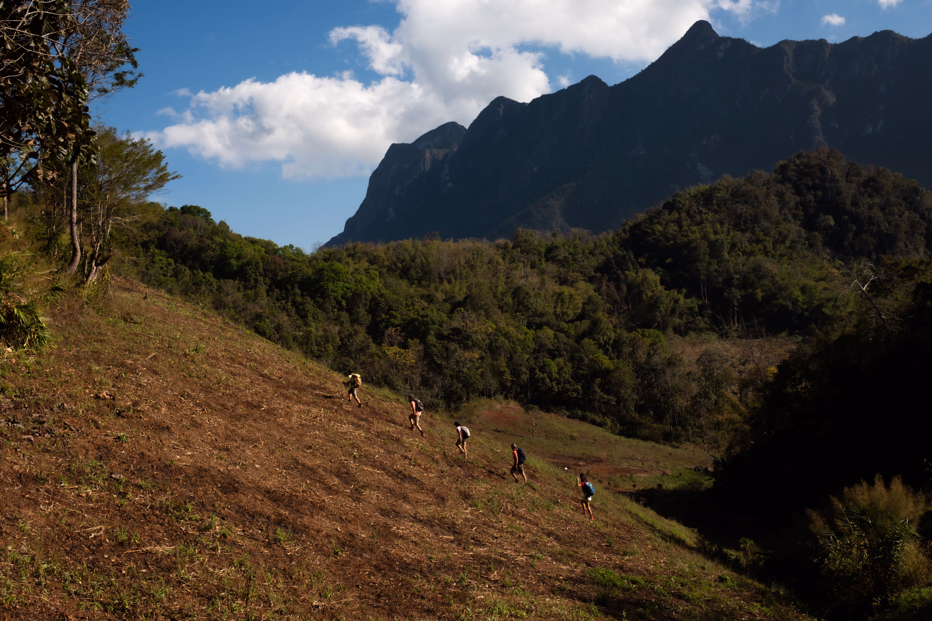 Excursion trek dans les montagnes de Chiang Dao