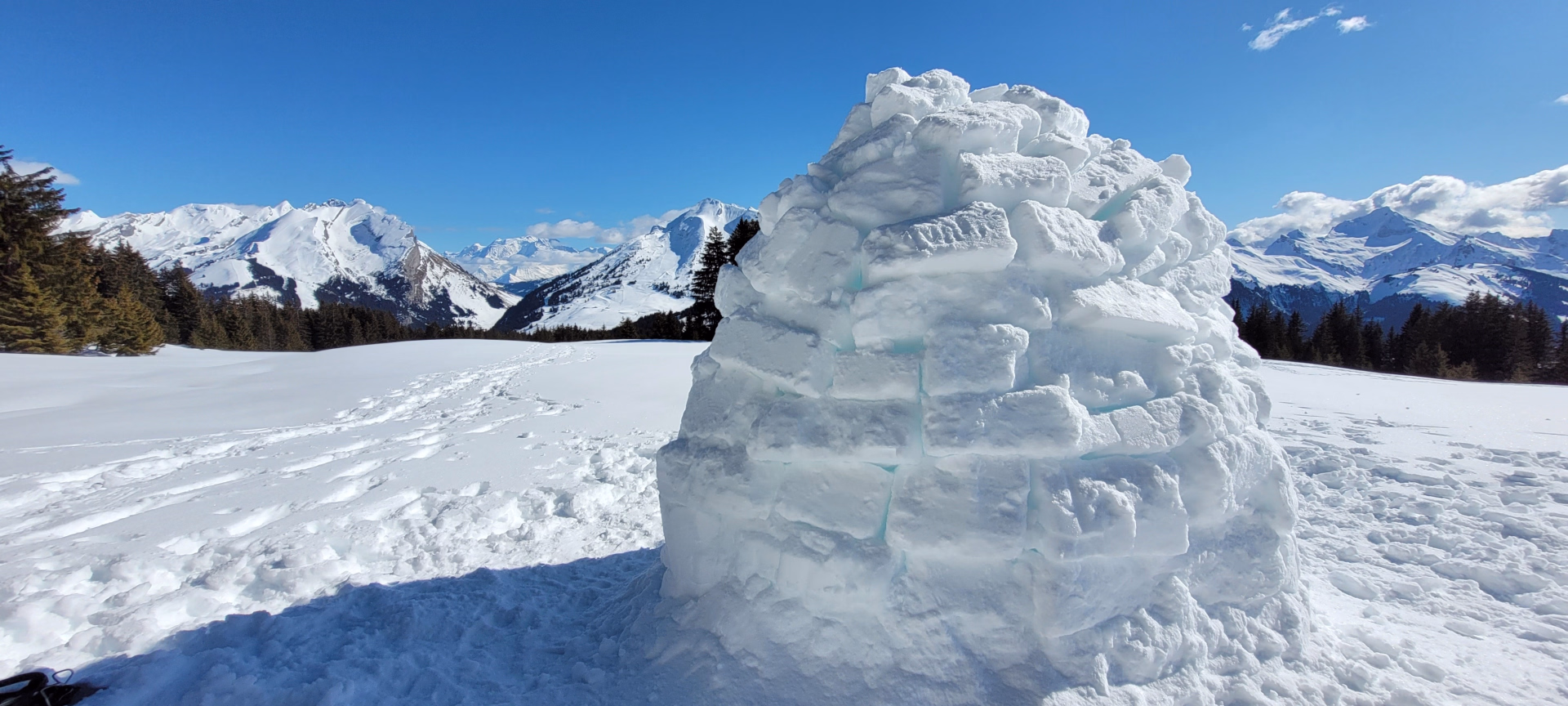 Raquettes & nuit en Igloo au plateau des Glières