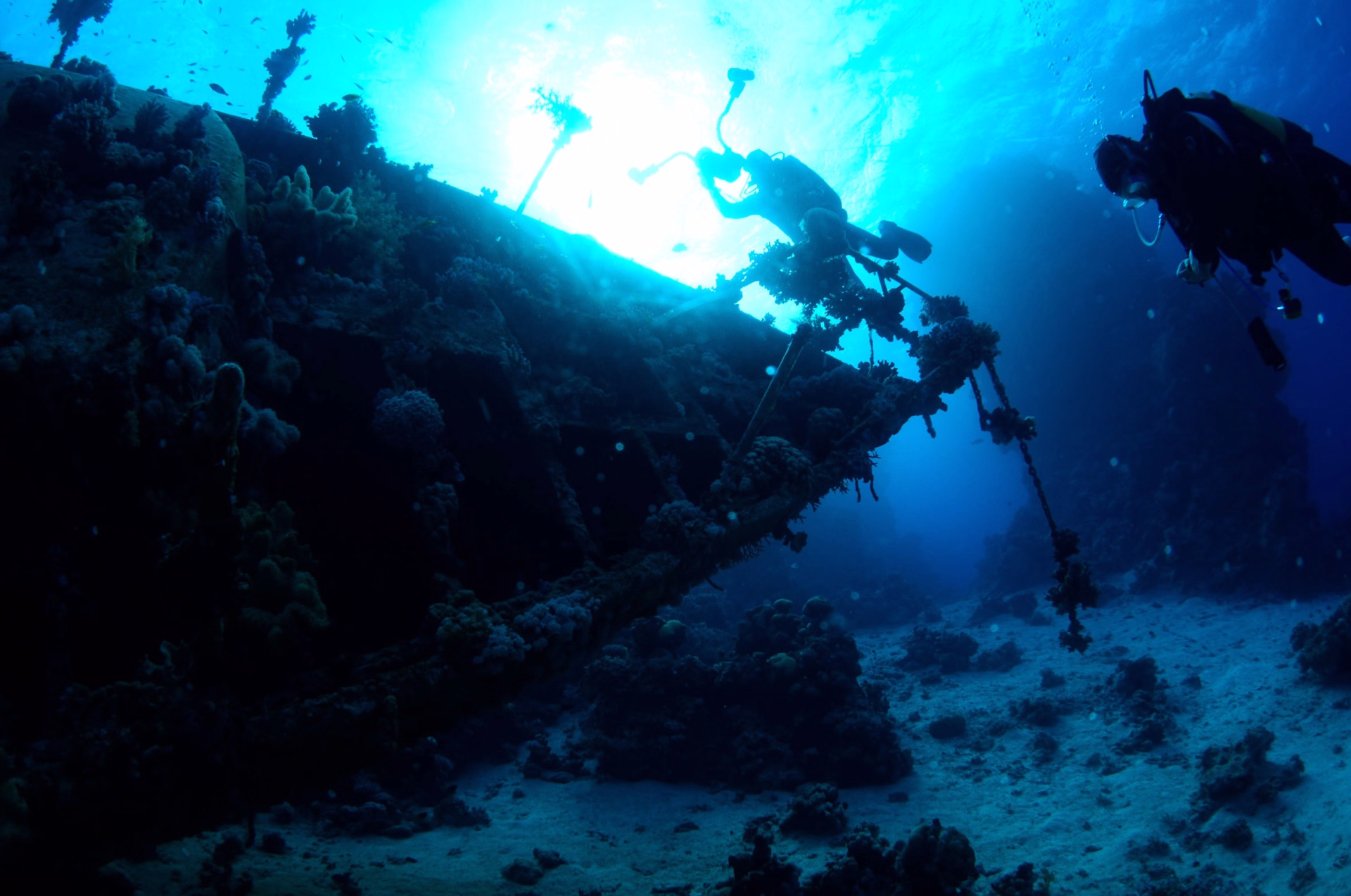 Découvrez récifs et épaves emblématiques en 6 jours à El Gouna