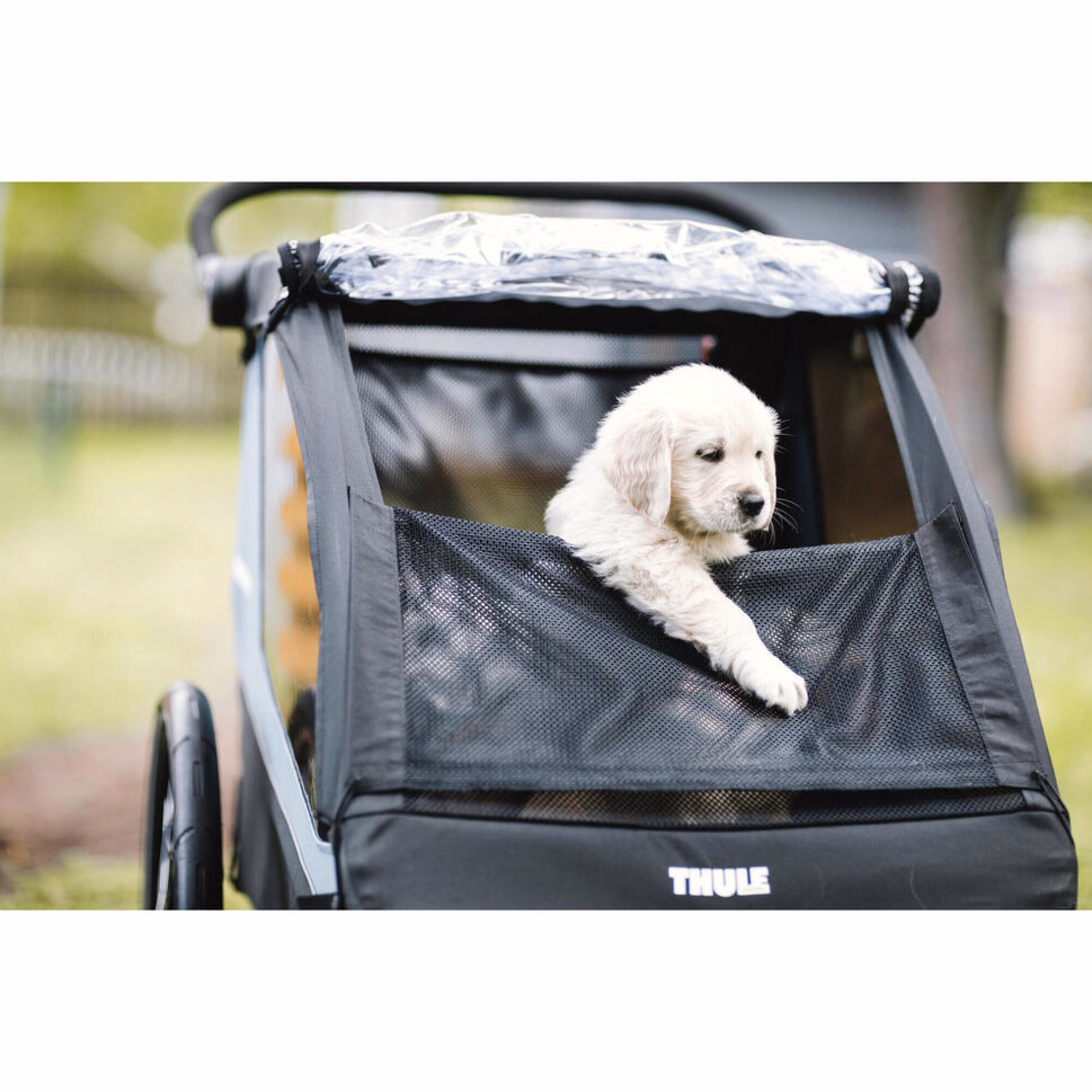 séjour à vélo avec son chien