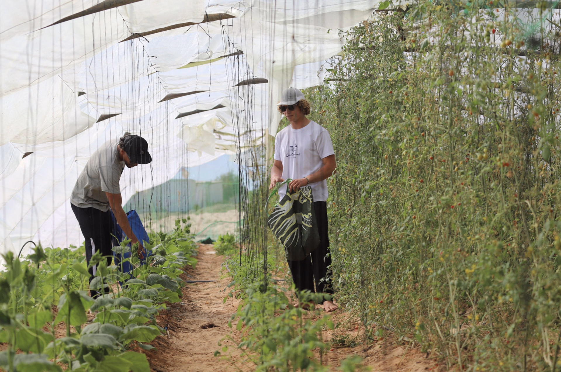 OV Lassarga Escape- Séjour 3 Nuits Kitesurf & Wingfoil à Dakhla