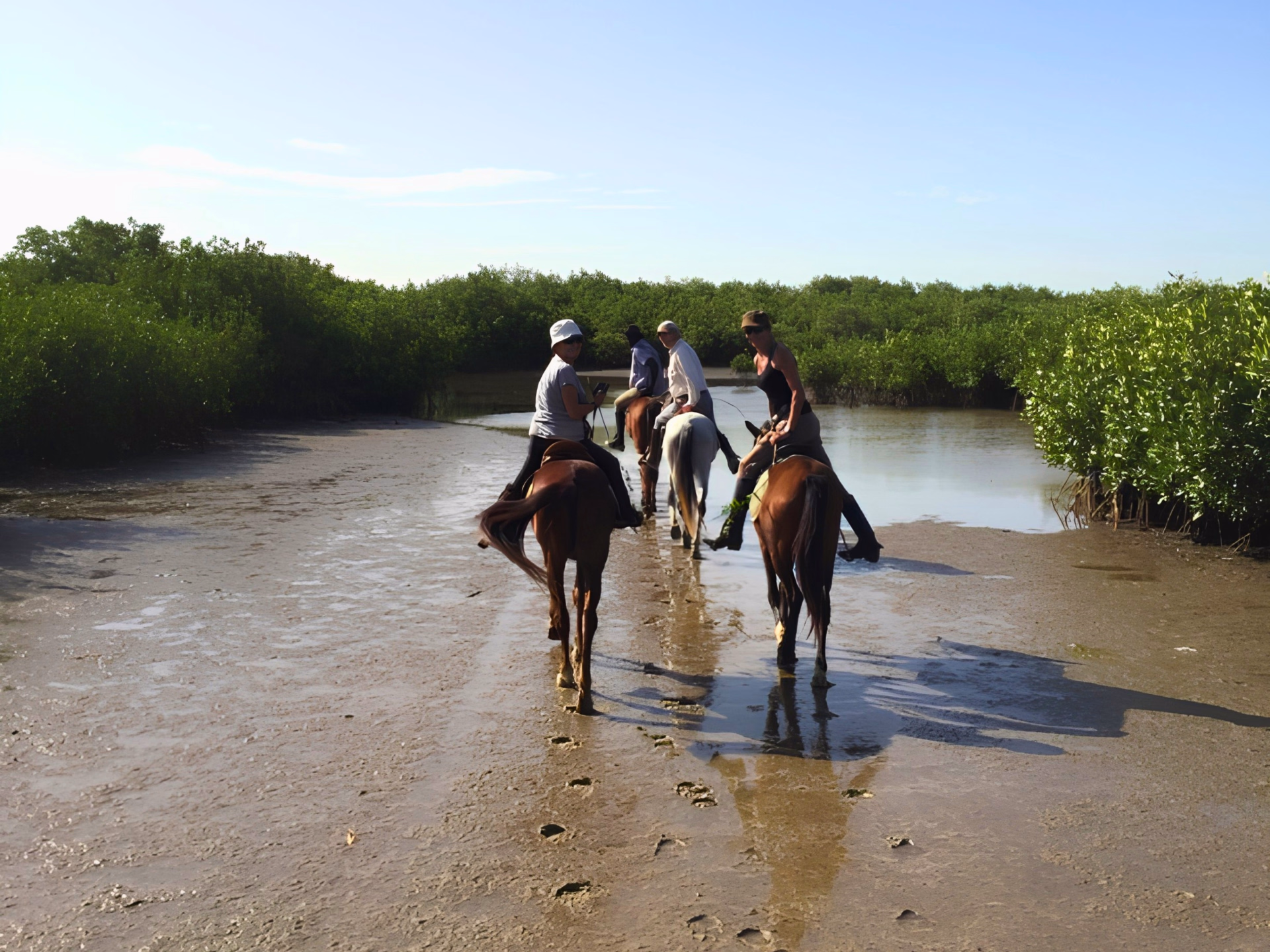 Safari à cheval dans le Sine Saloum au Sénégal - Spécial Réveillon
