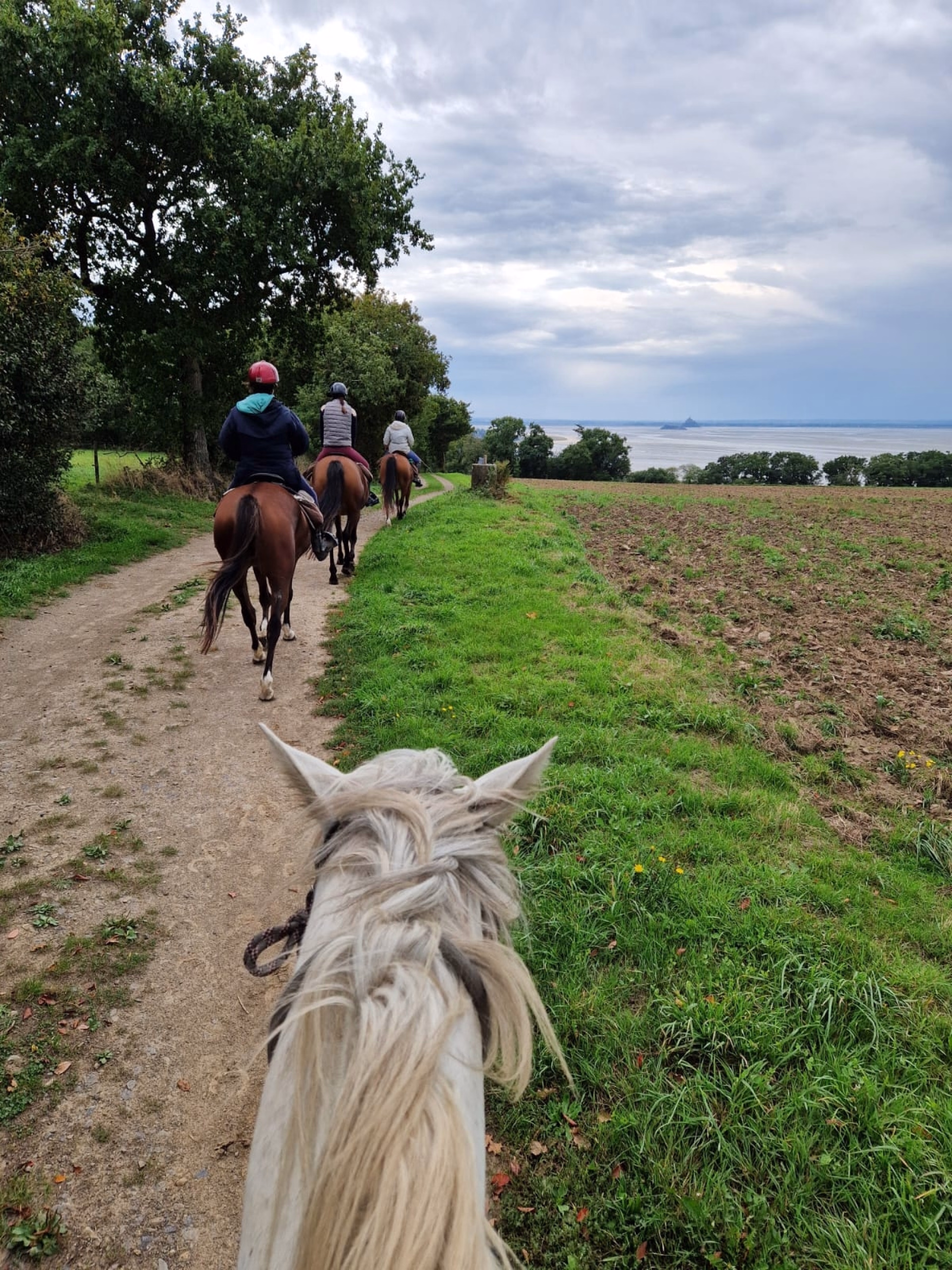 Randonnée à cheval en Baie du Mont-St-Michel entre Granville et Genêt