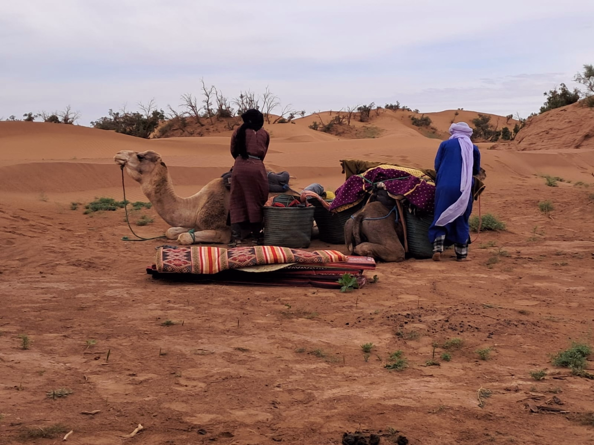 Trek de 7 jours dans le désert au départ de Marrakech