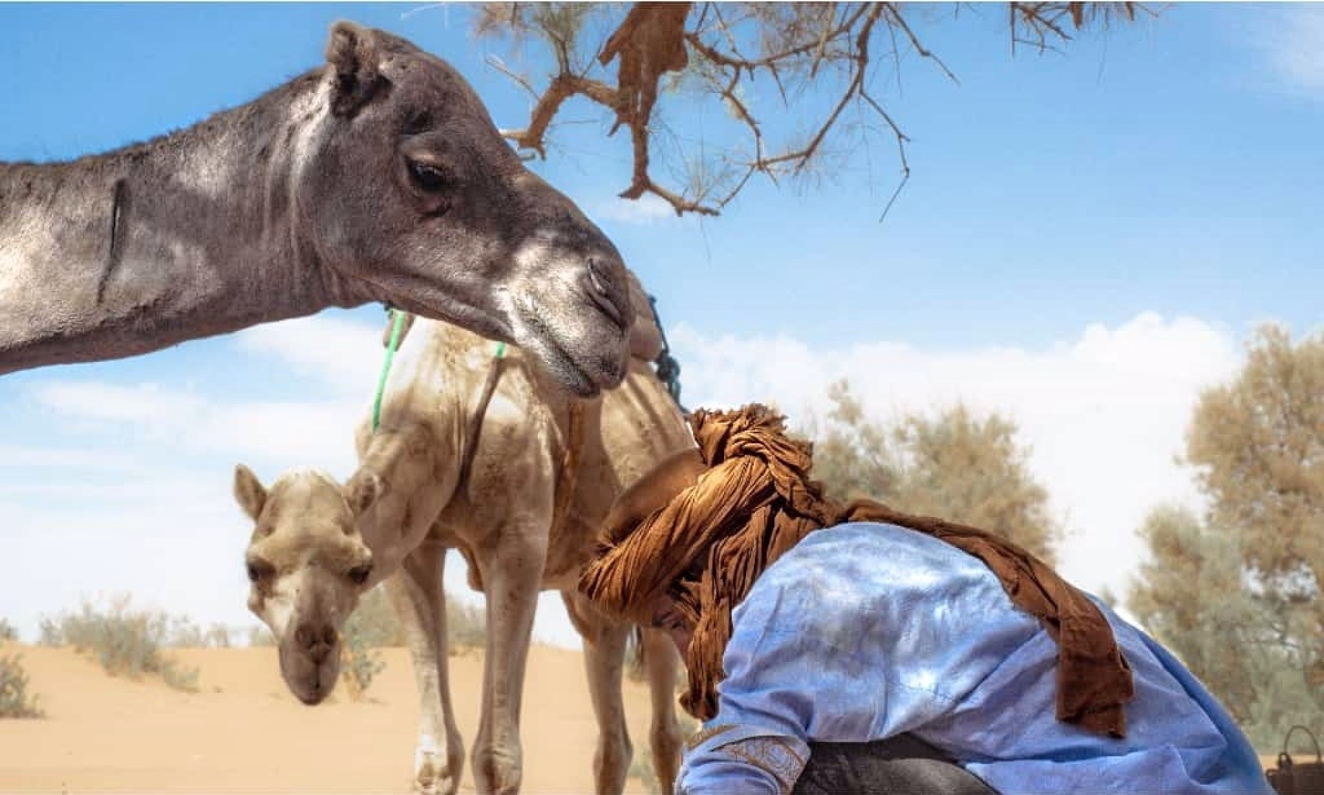 Randonnée avec des nomades dans le désert marocain