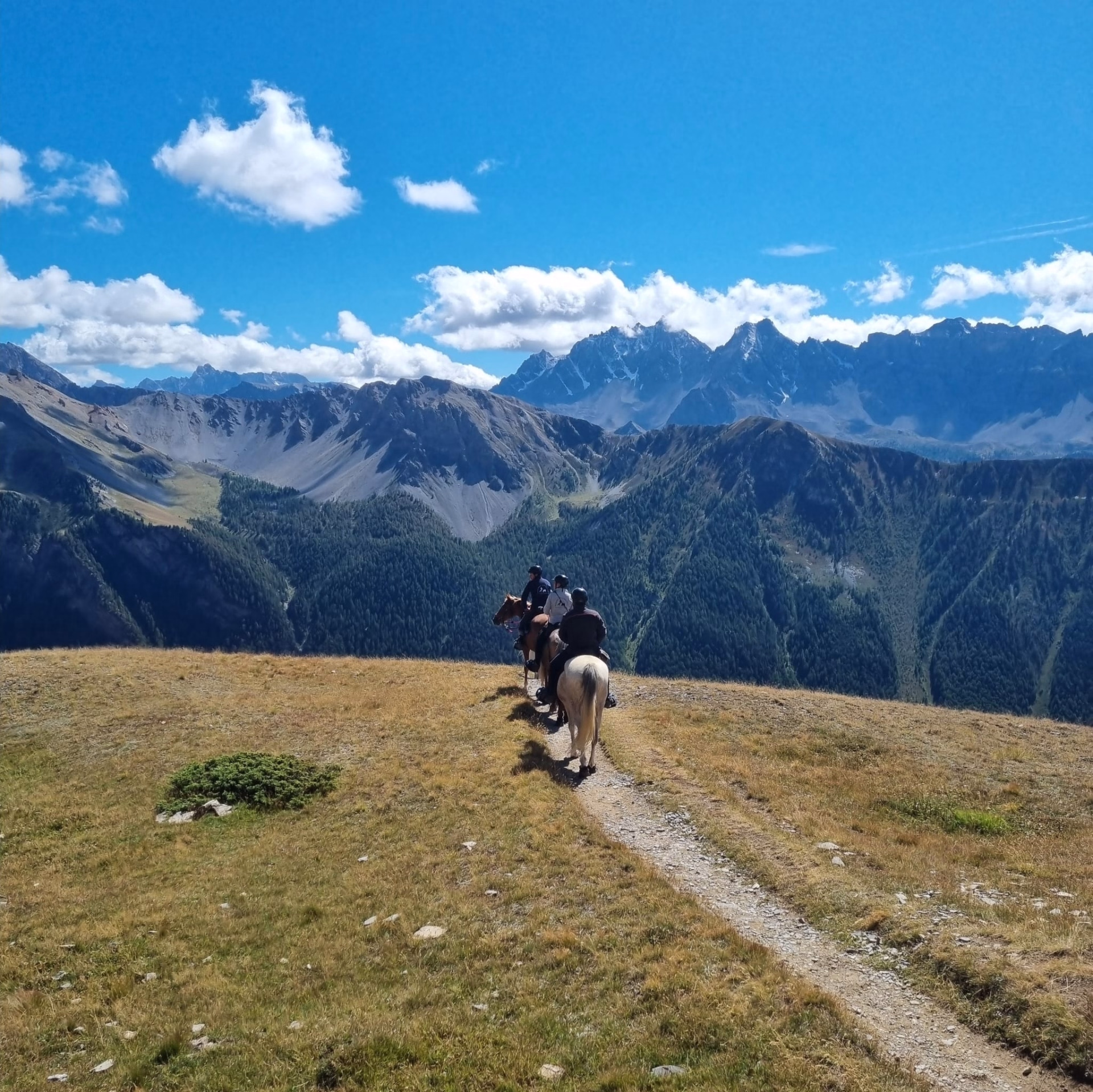 Trek des lacs et panoramas du Viso en Queyras