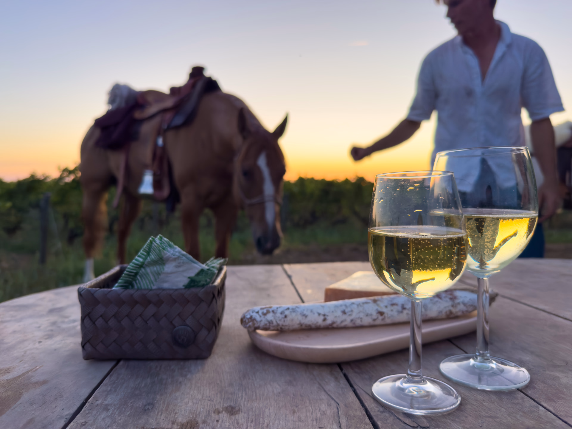 Randonnée à cheval de 2 jours avec Bivouac Royal