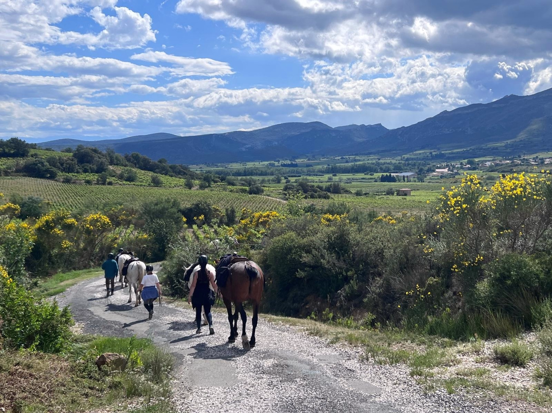 Rando équestre des citadelles en Pays Cathare