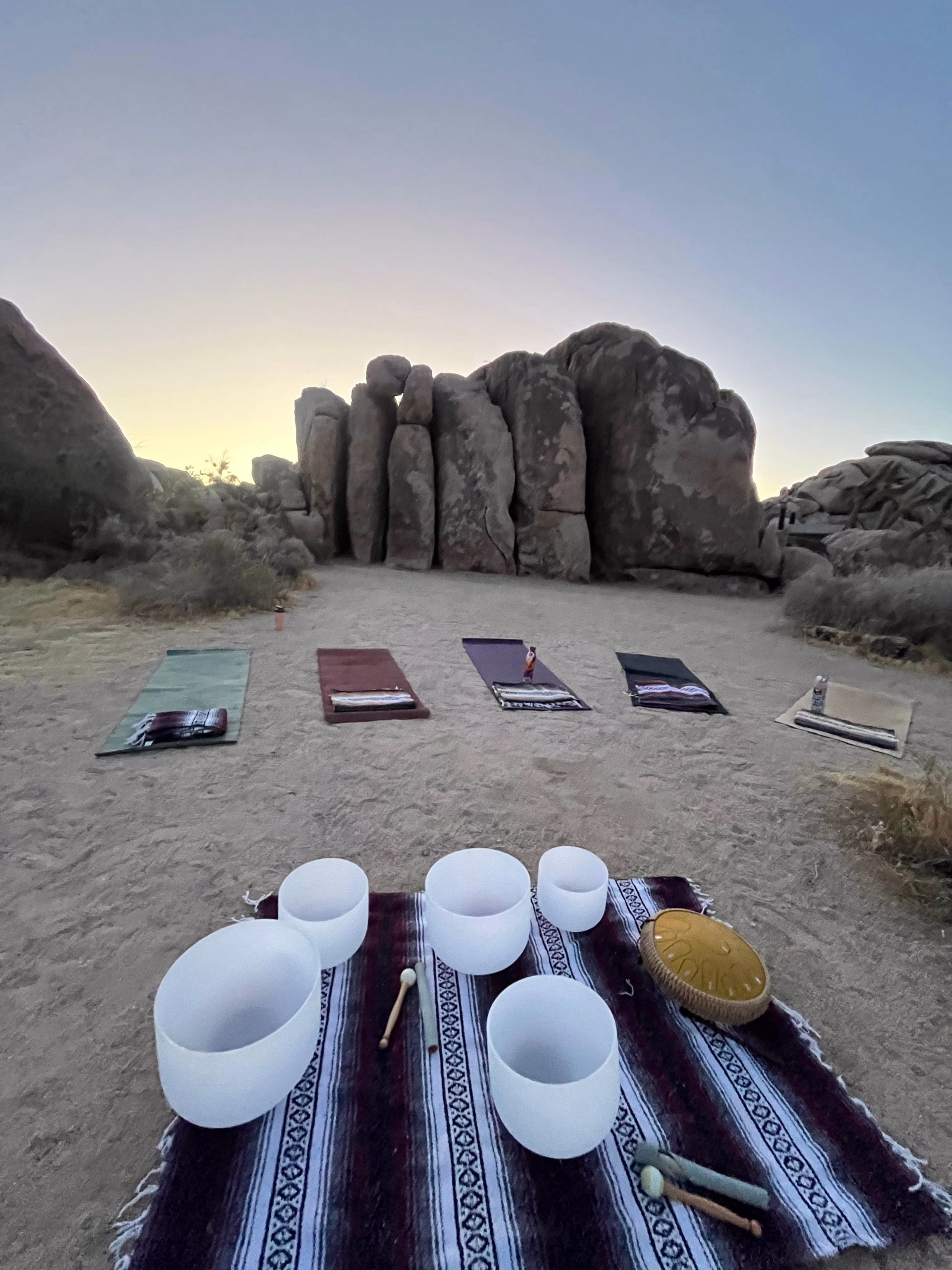 Désert sauvage — 6 jours de yoga & d'aventure à Joshua Tree