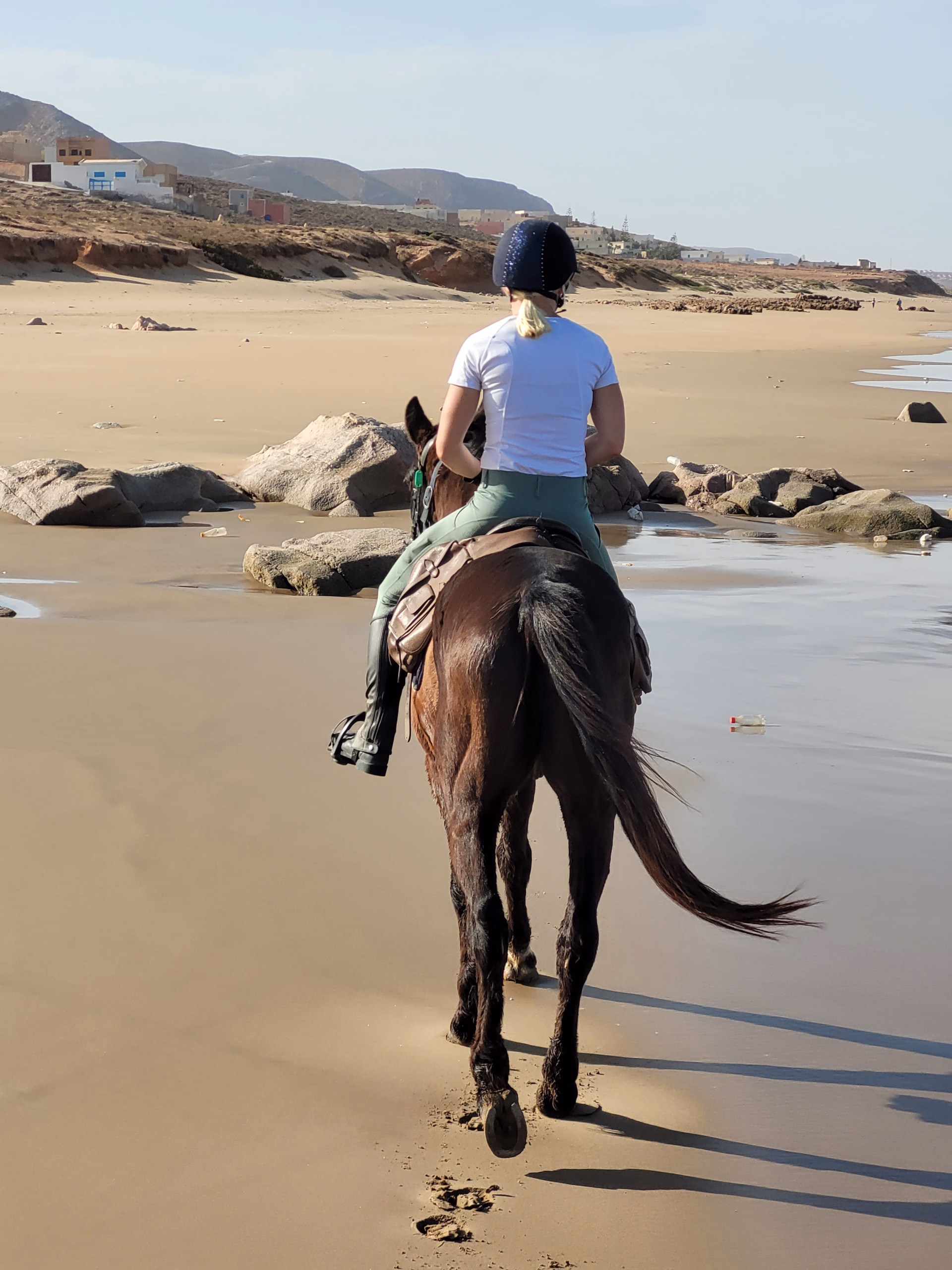 Randonnée à cheval