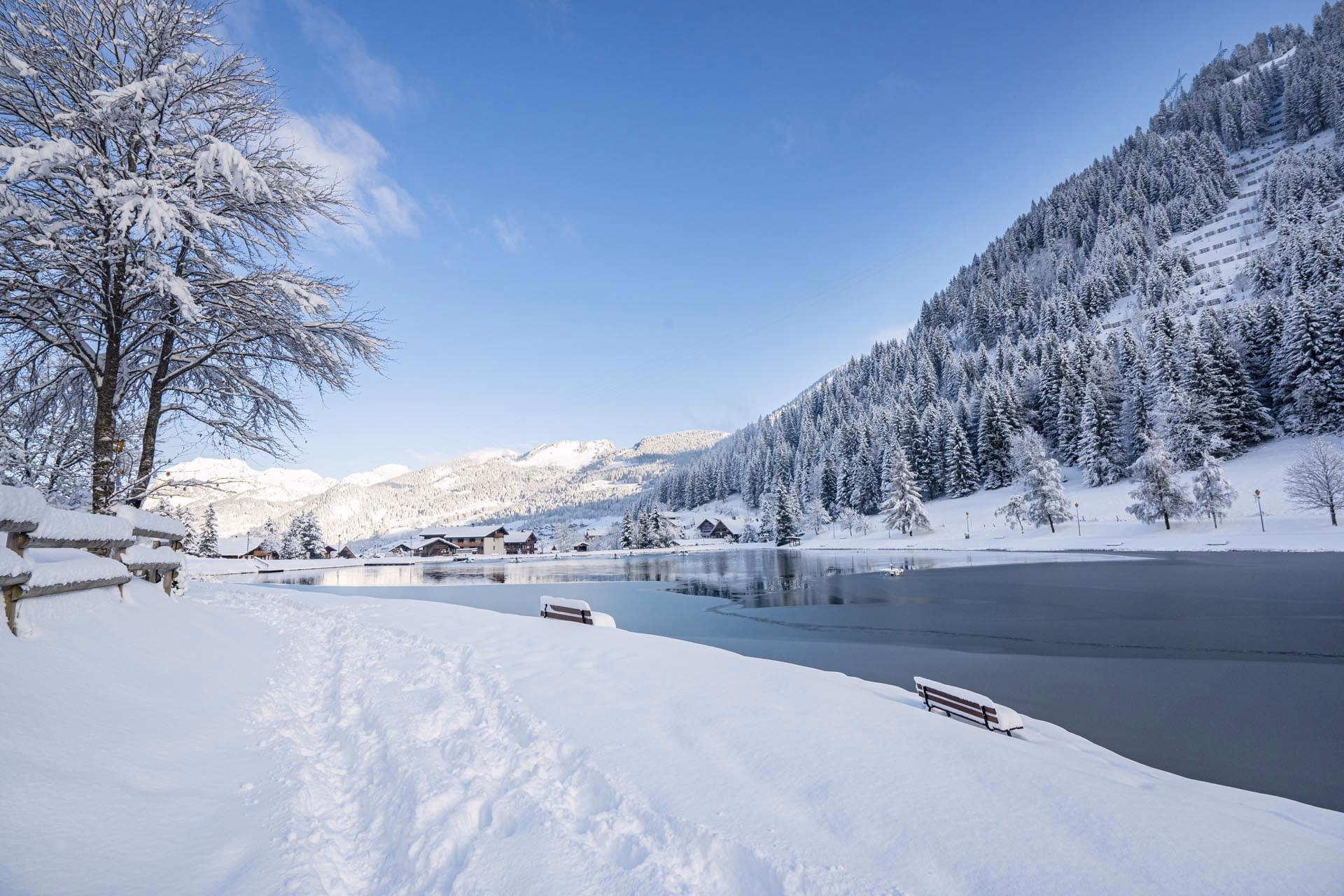 Séjour ski alpin à Châtel domaine des Portes du Soleil