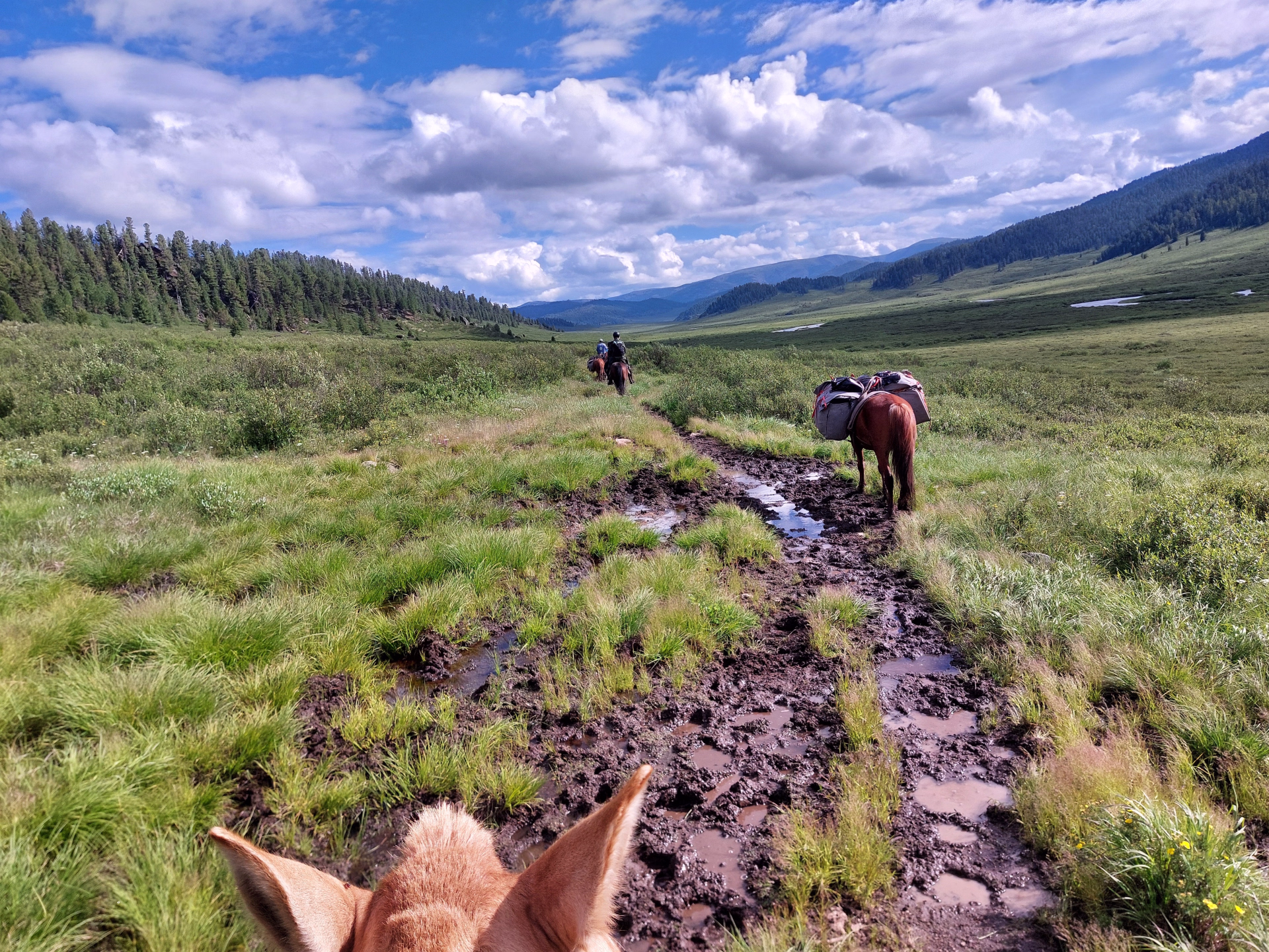 Randonnée à cheval dans le parc national de Terelj en Mongolie