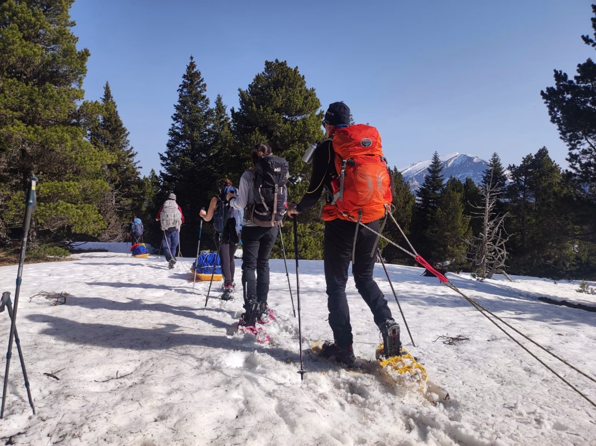 Raquettes, pulka et bivouac dans le Vercors
