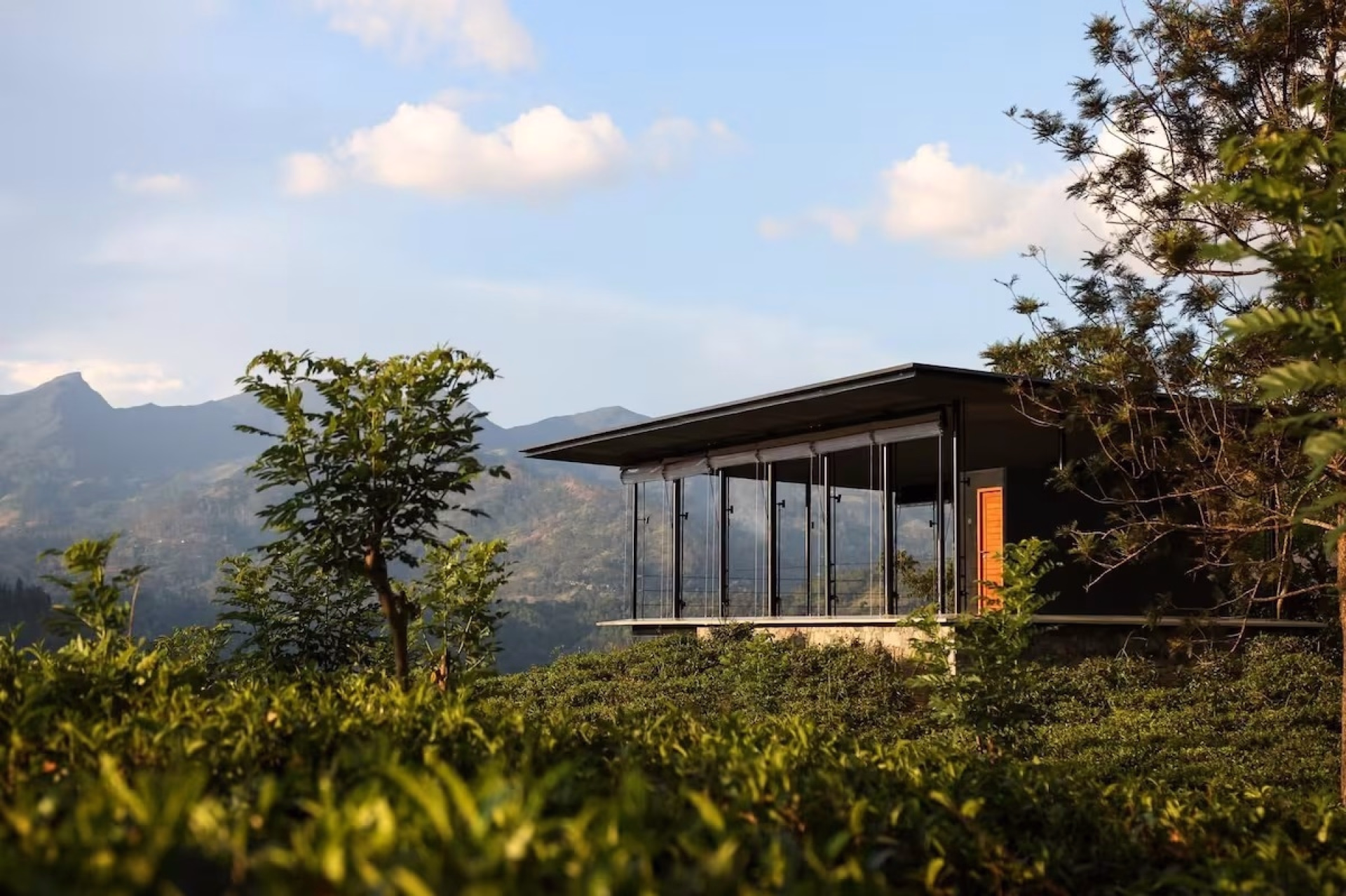 Déconnexion absolue au coeur des montagnes du Sri Lanka