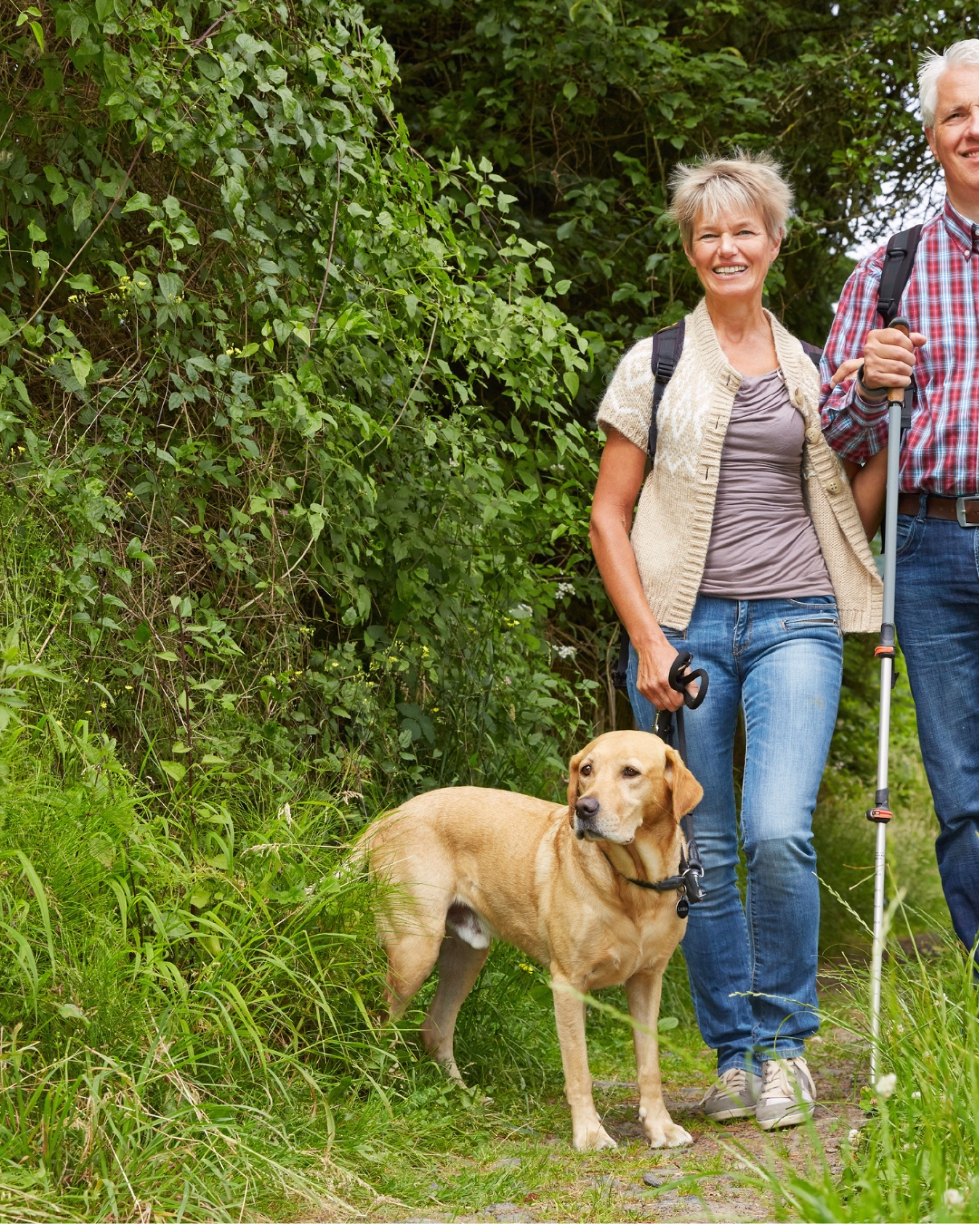 Séjour avec son chien dans le Cantal - Complicité & Nature