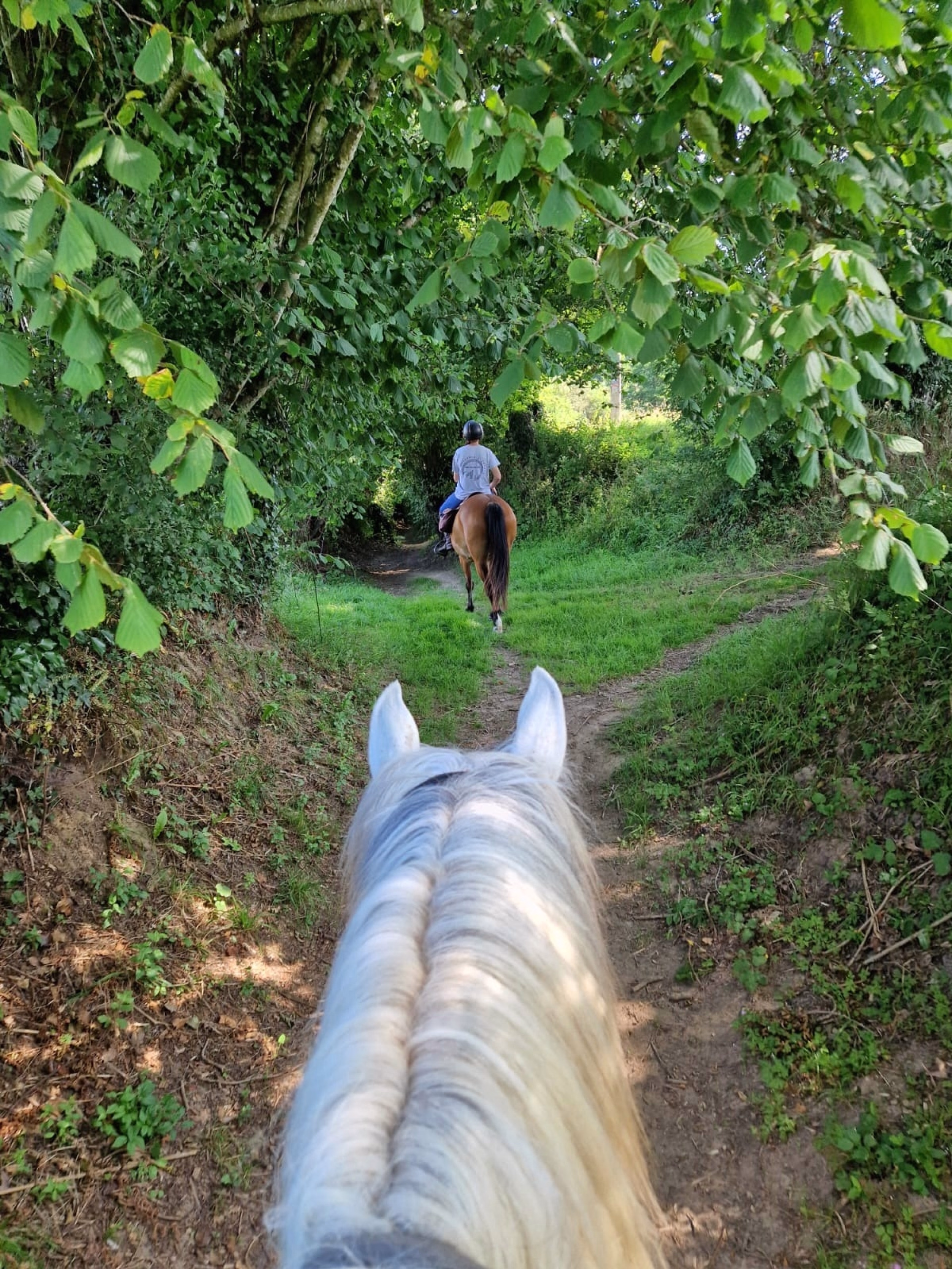 Reiten zu den Stränden von La Vanlée