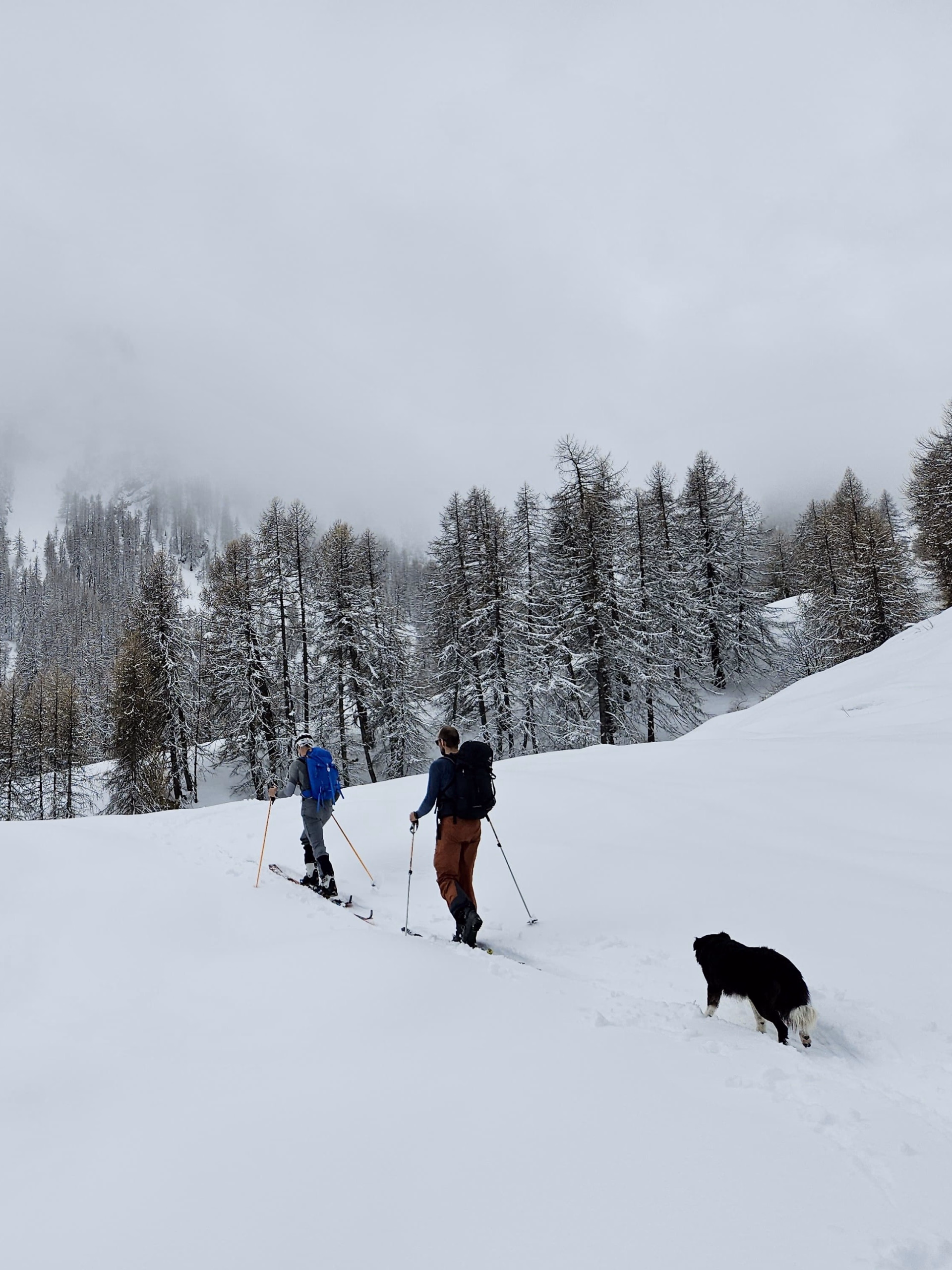 Photo ski de randonnée dans les Alpes