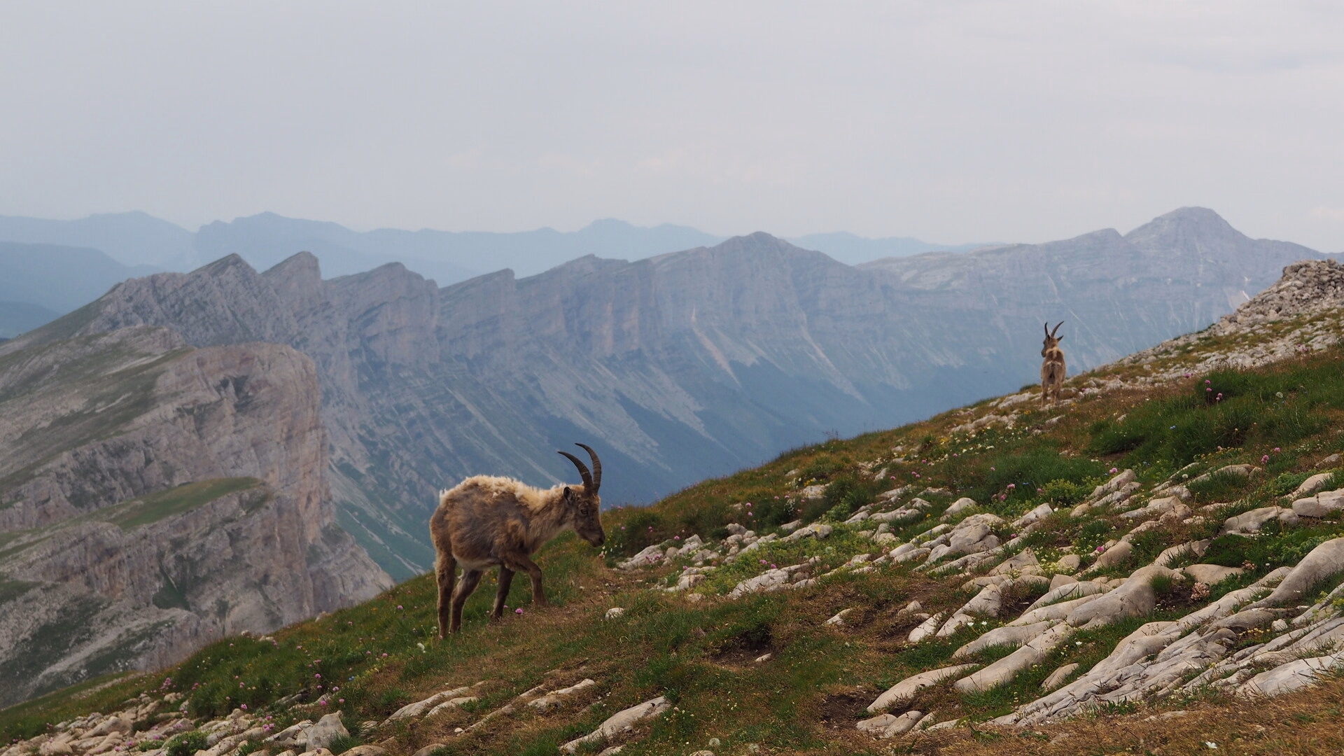 Randonnée et yoga au cœur des grands espaces du Vercors
