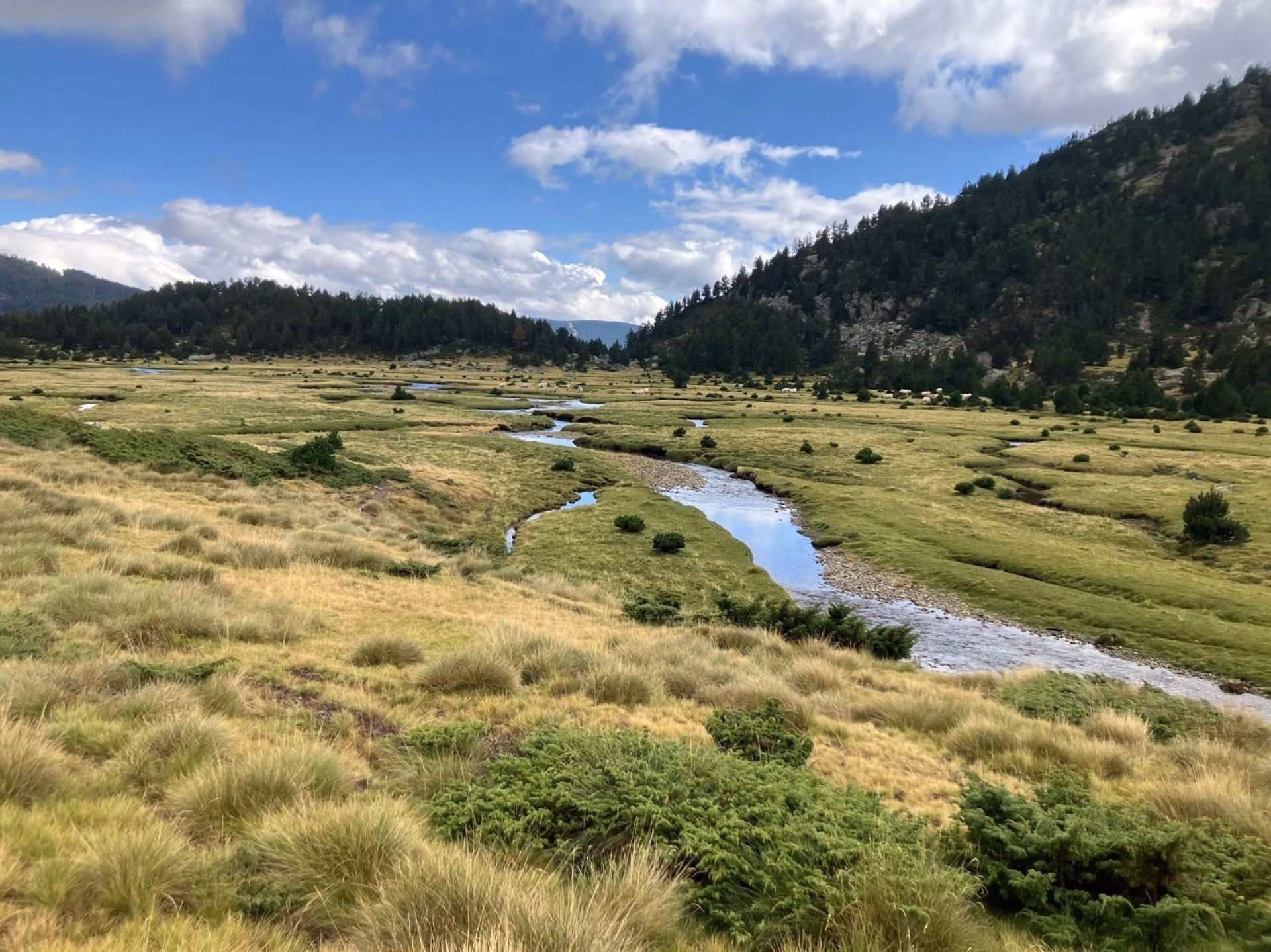 Les Pyrénées catalanes à cheval entre Cerdagne et Capcir