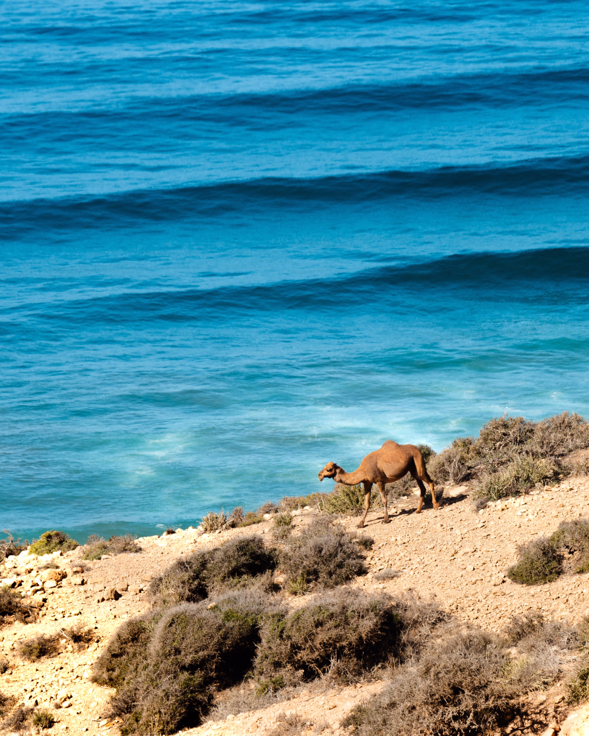 Semaine surf au Maroc à Imsouane
