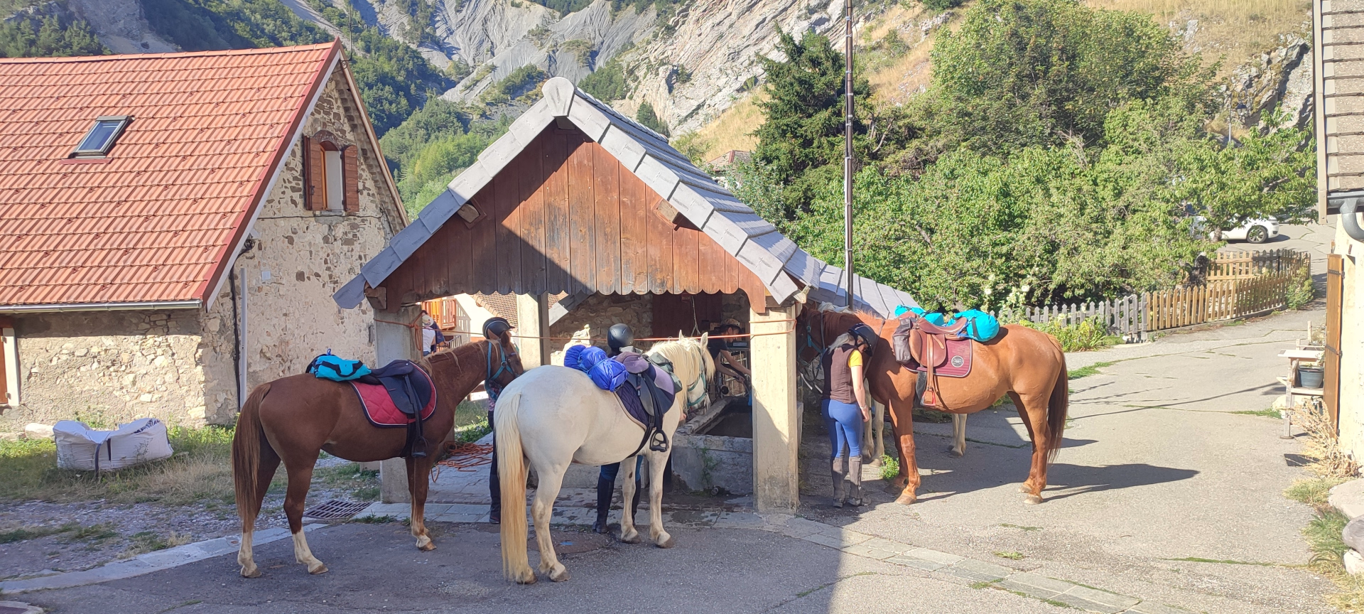 Le Dévoluy à cheval : une immersion en montagne de 4 jours