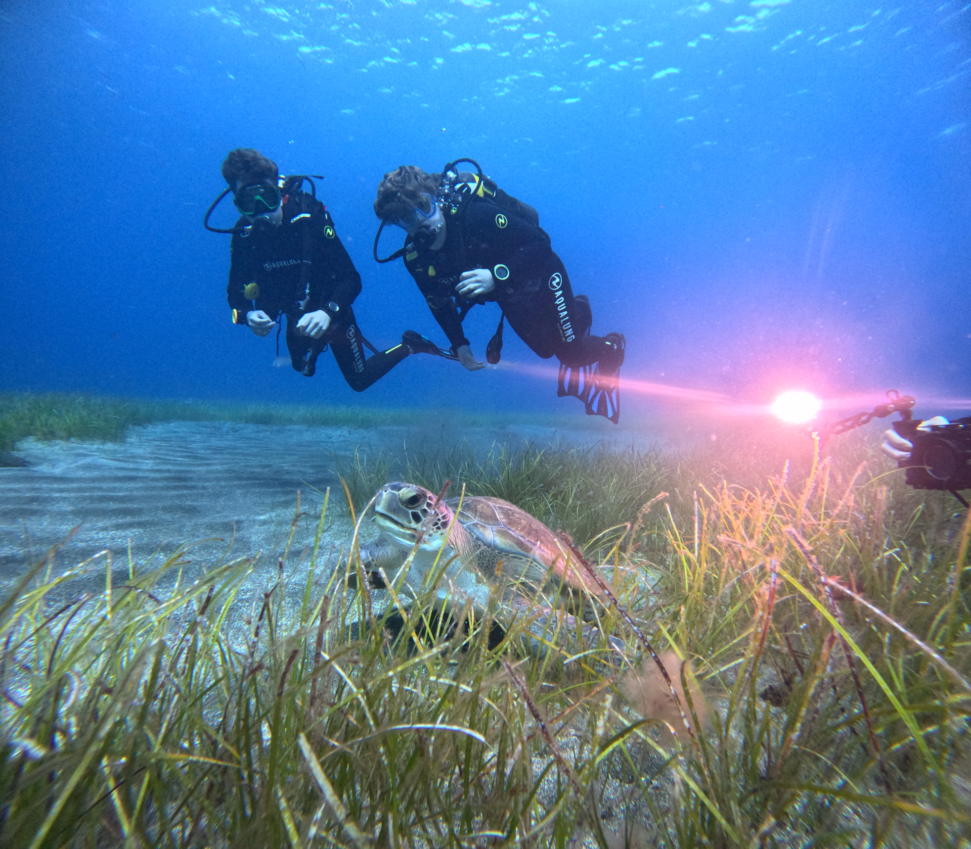 Première aventure sous-marine en famille à Tenerife