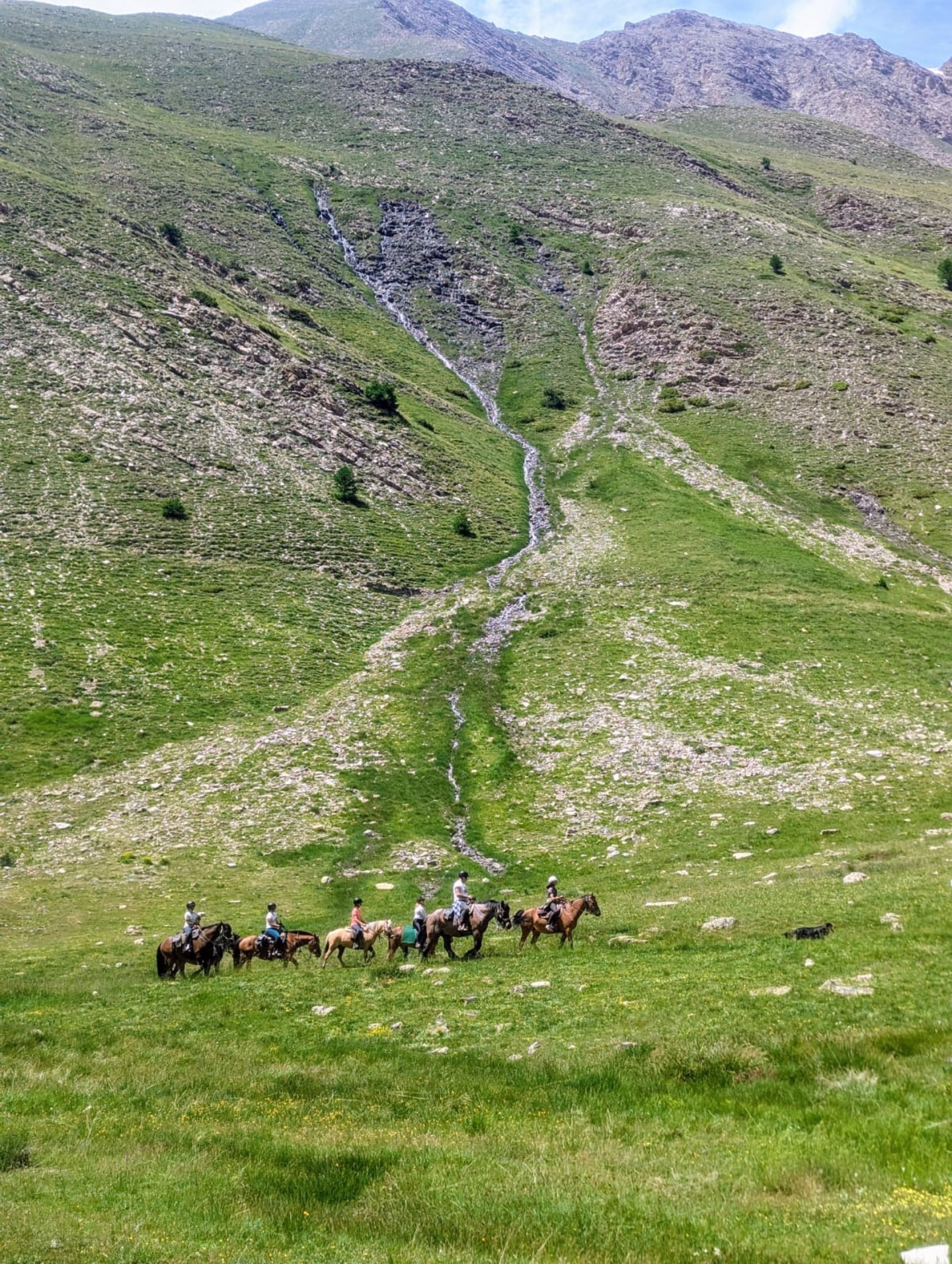 Randonnée équestre en Ubaye et tunnel du Parpaillon