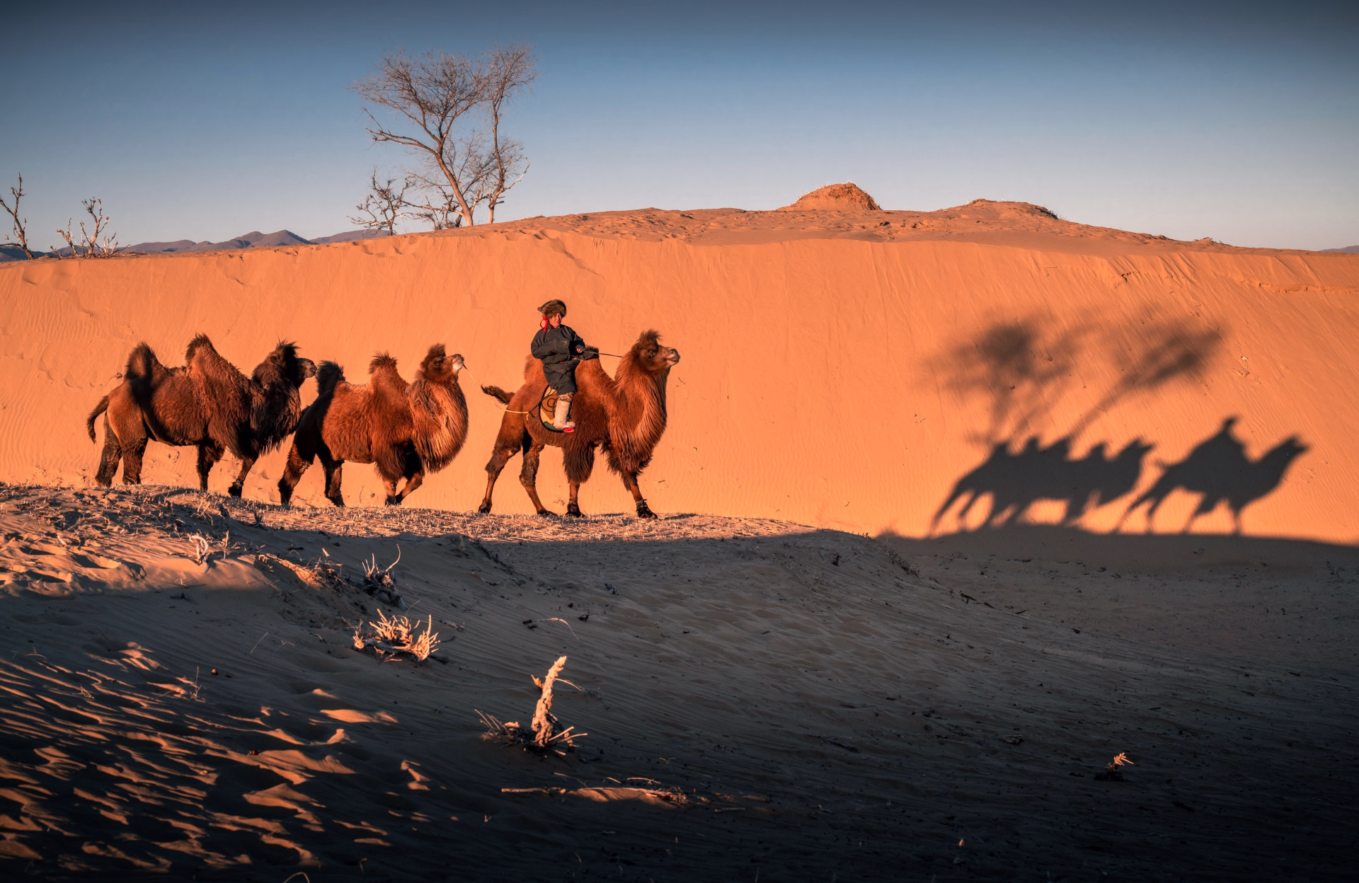 Immersion en Famille nomade