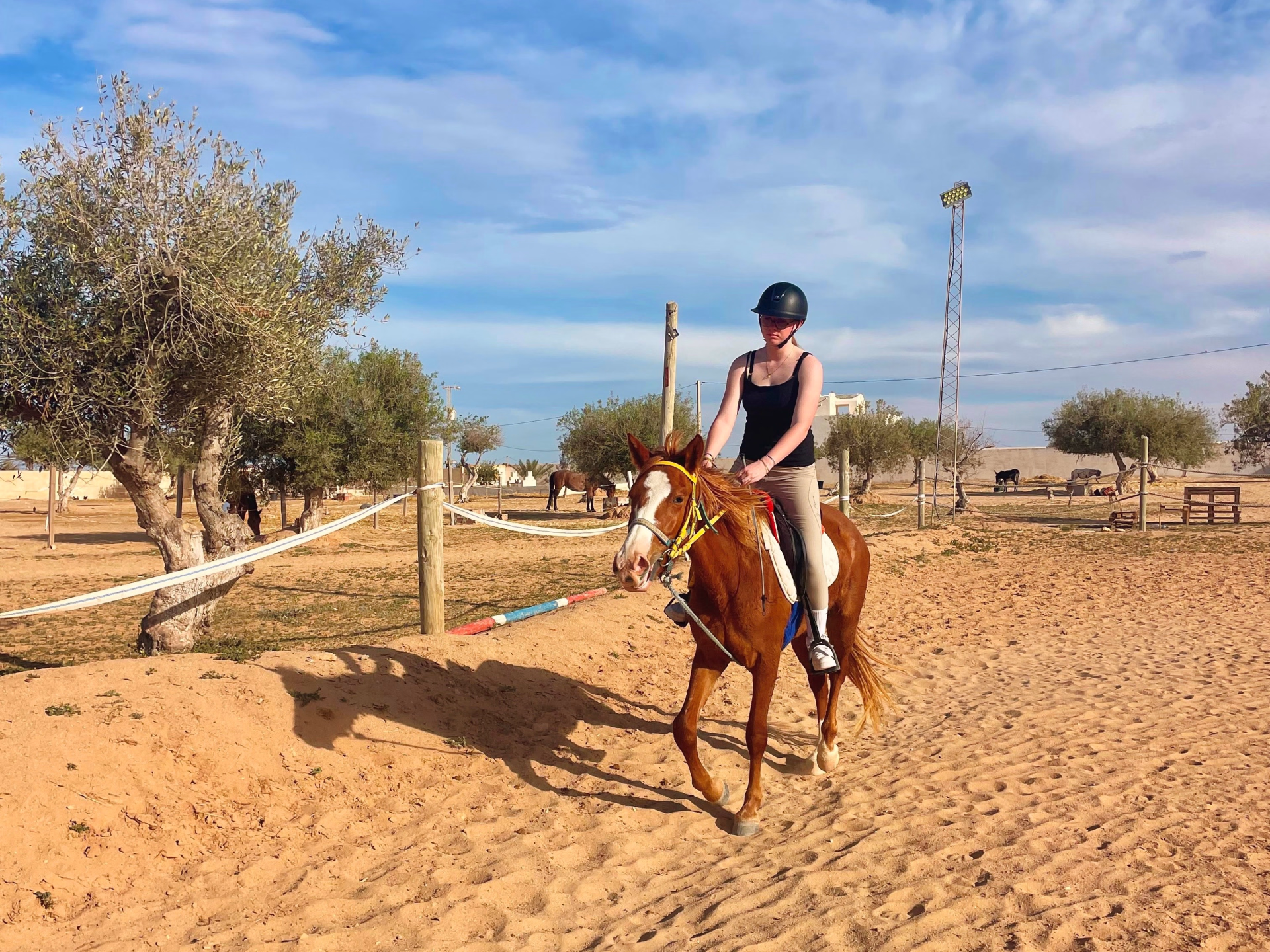 Séjour équestre & immersion culturelle – Sport, Culture & Aventure