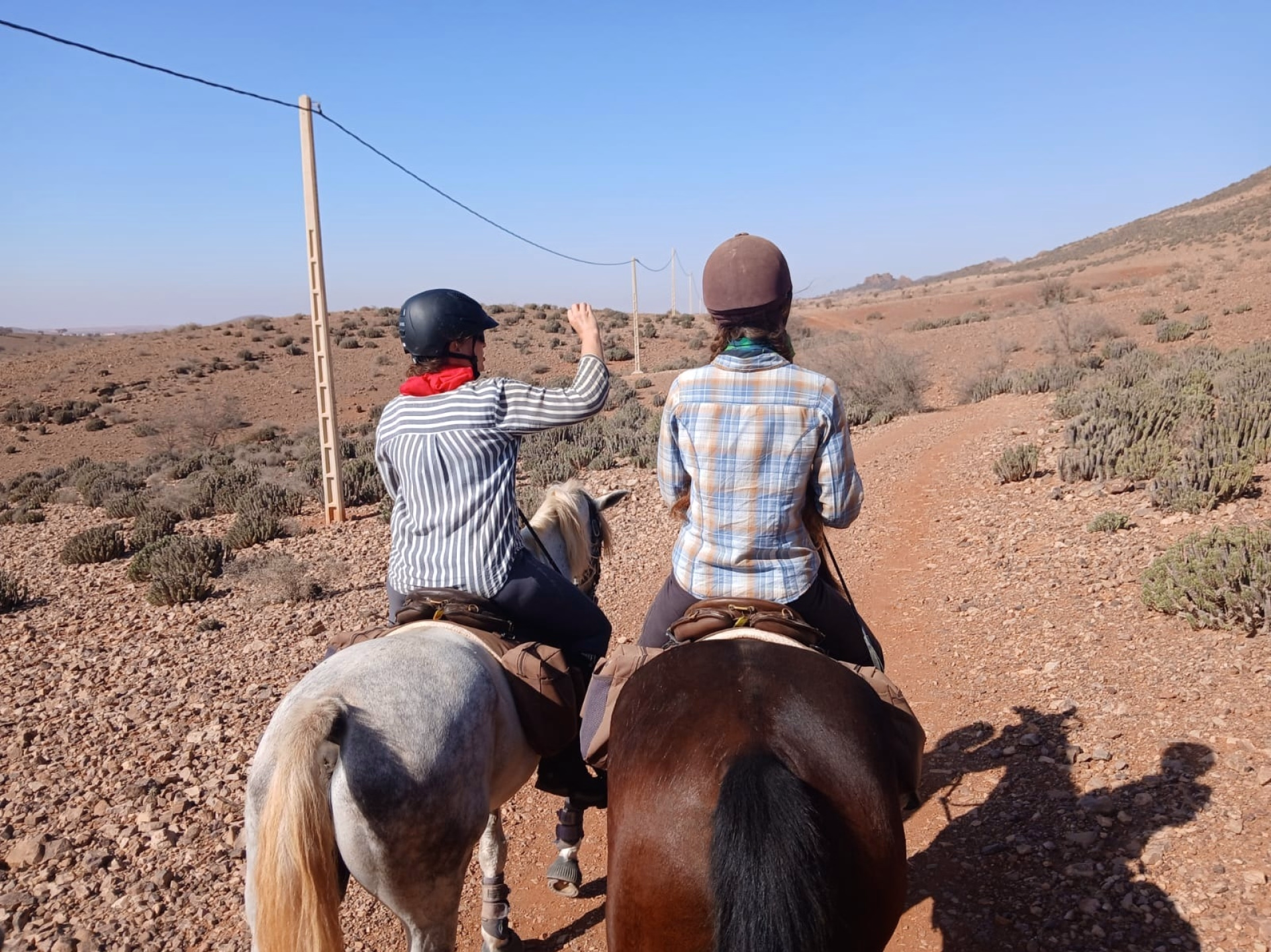 Le Grand Sud Marocain à Cheval : sur les Traces des Nomades Berbères