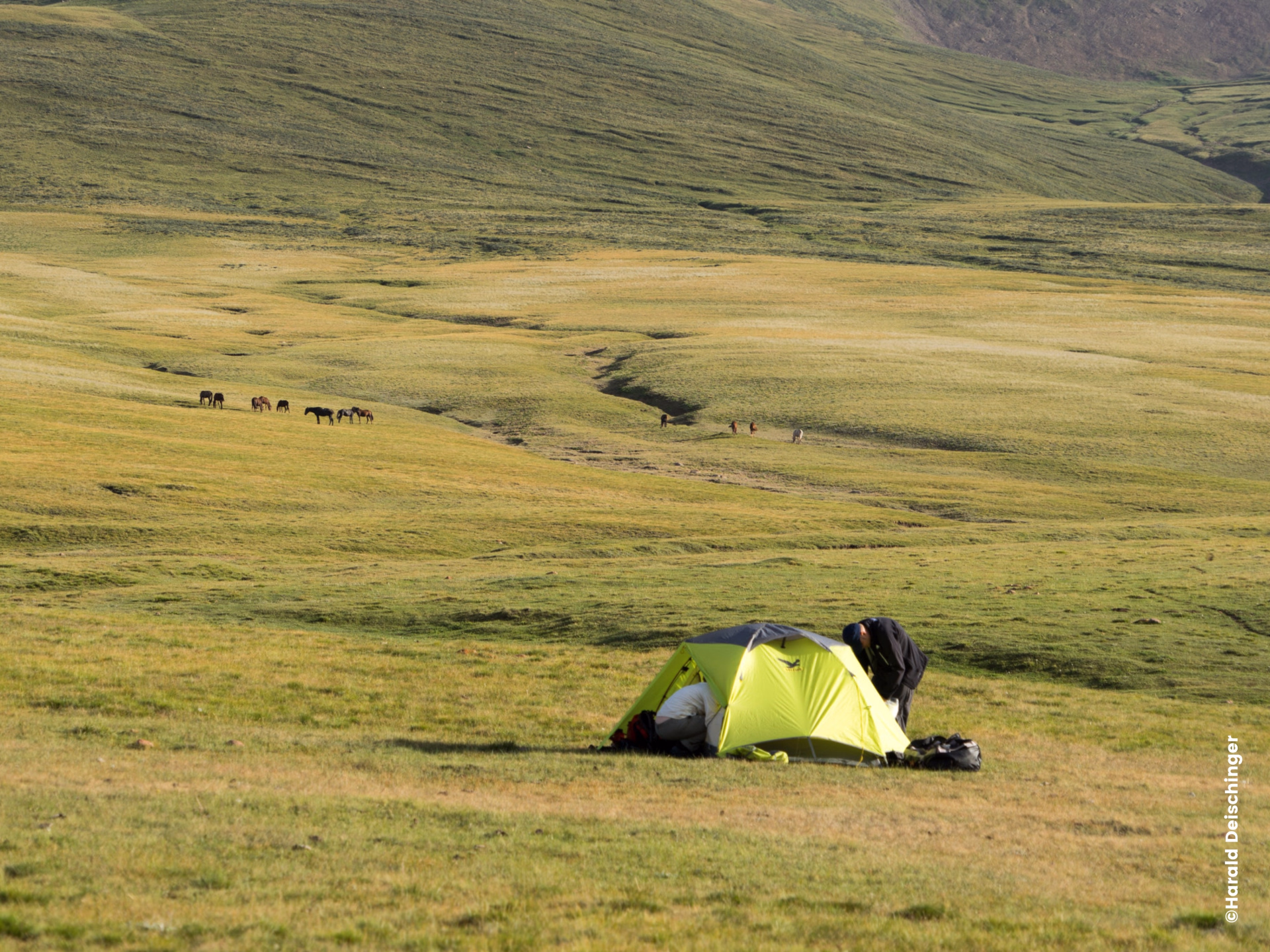 ⛺️ Bivouac/tente - Jours 3 à 4, 8 à 10