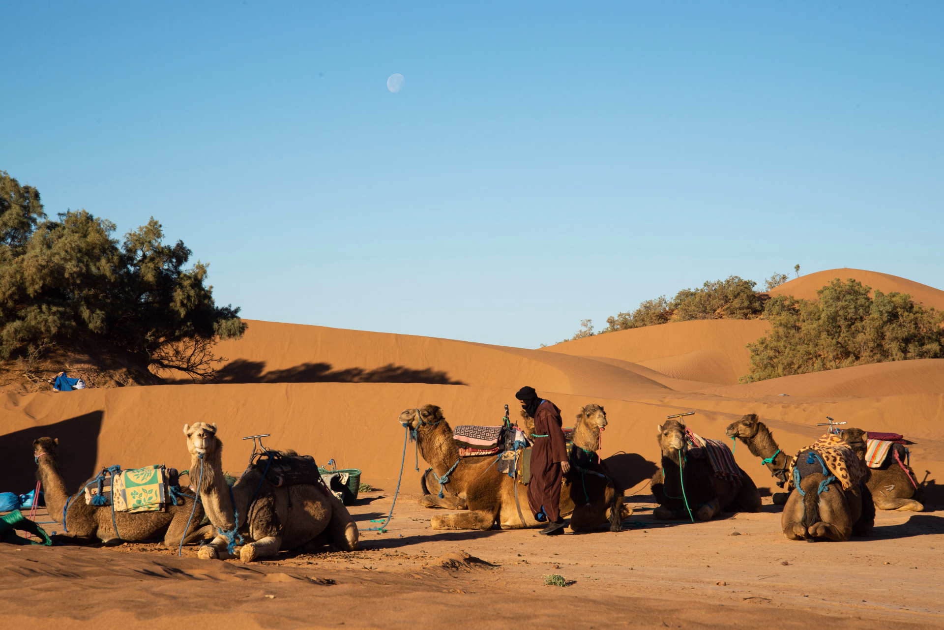 4 jours au cœur des dunes du Sahara marocain