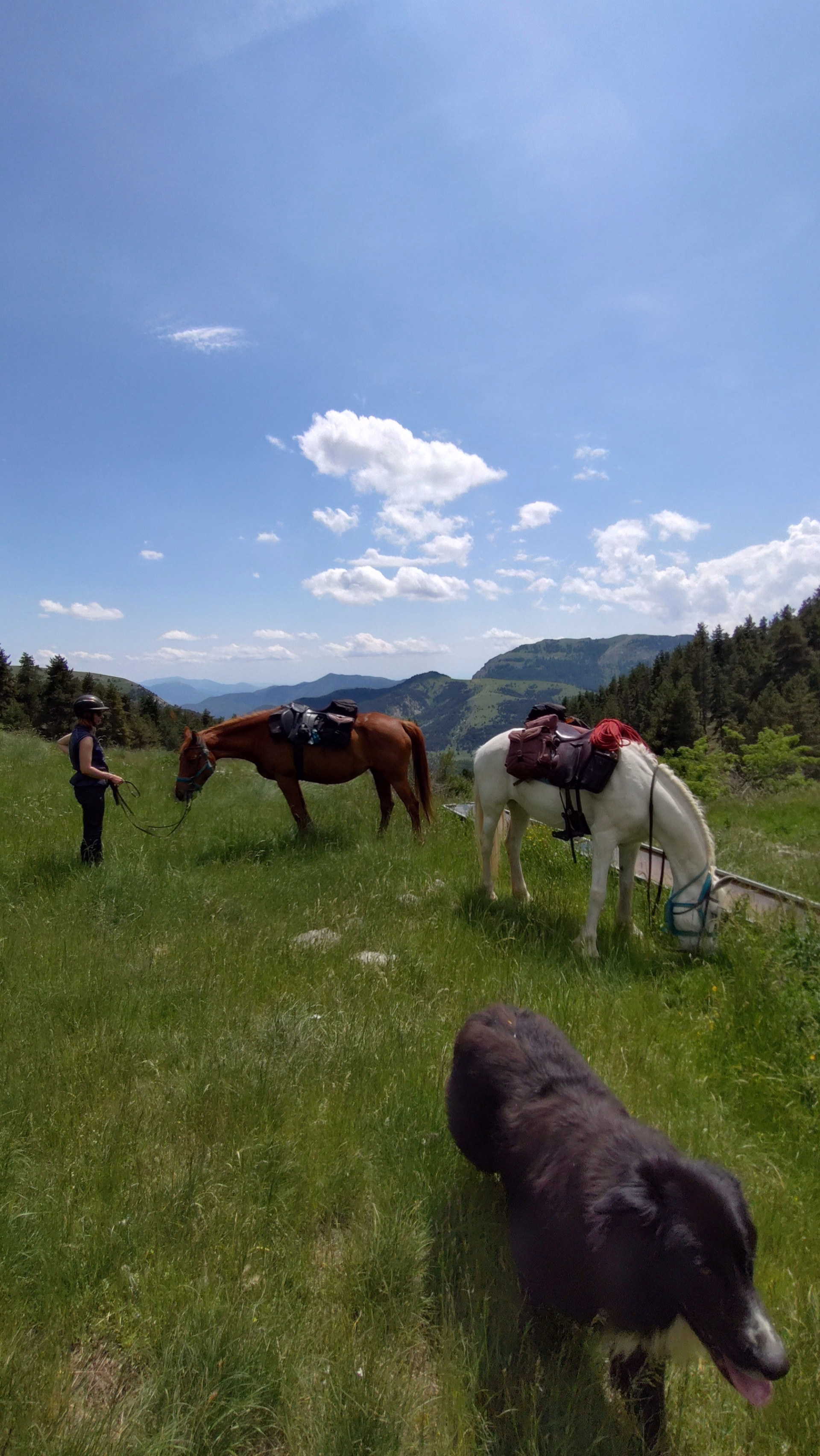 Tour des Monges à cheval