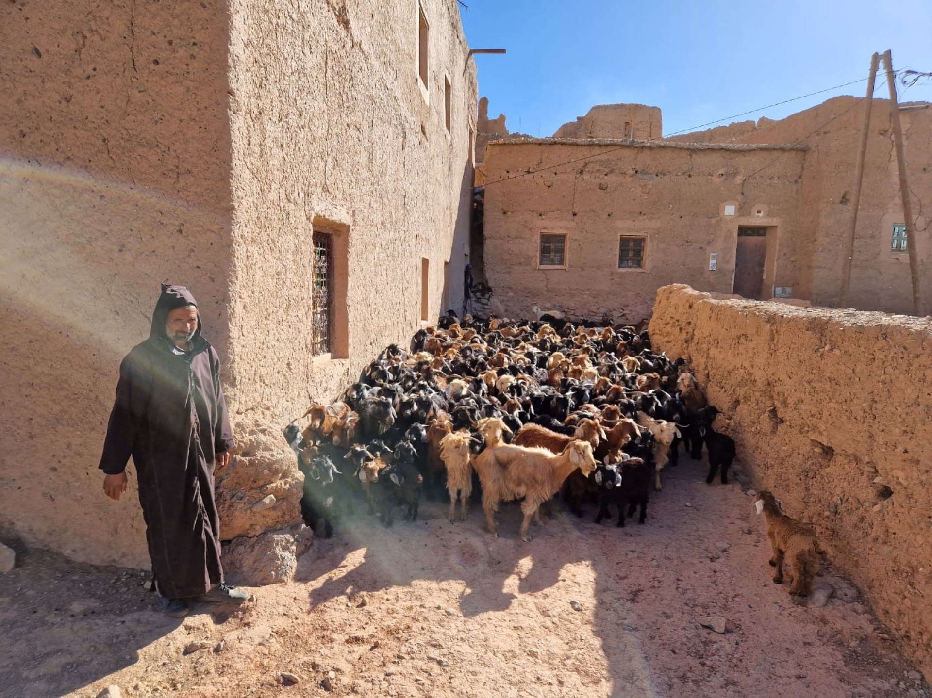 Le Sentier des 1000 Kasbahs : Découverte de la région de Ouarzazate